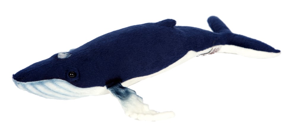 Humpback Whale 35cmL - Hamac Trading