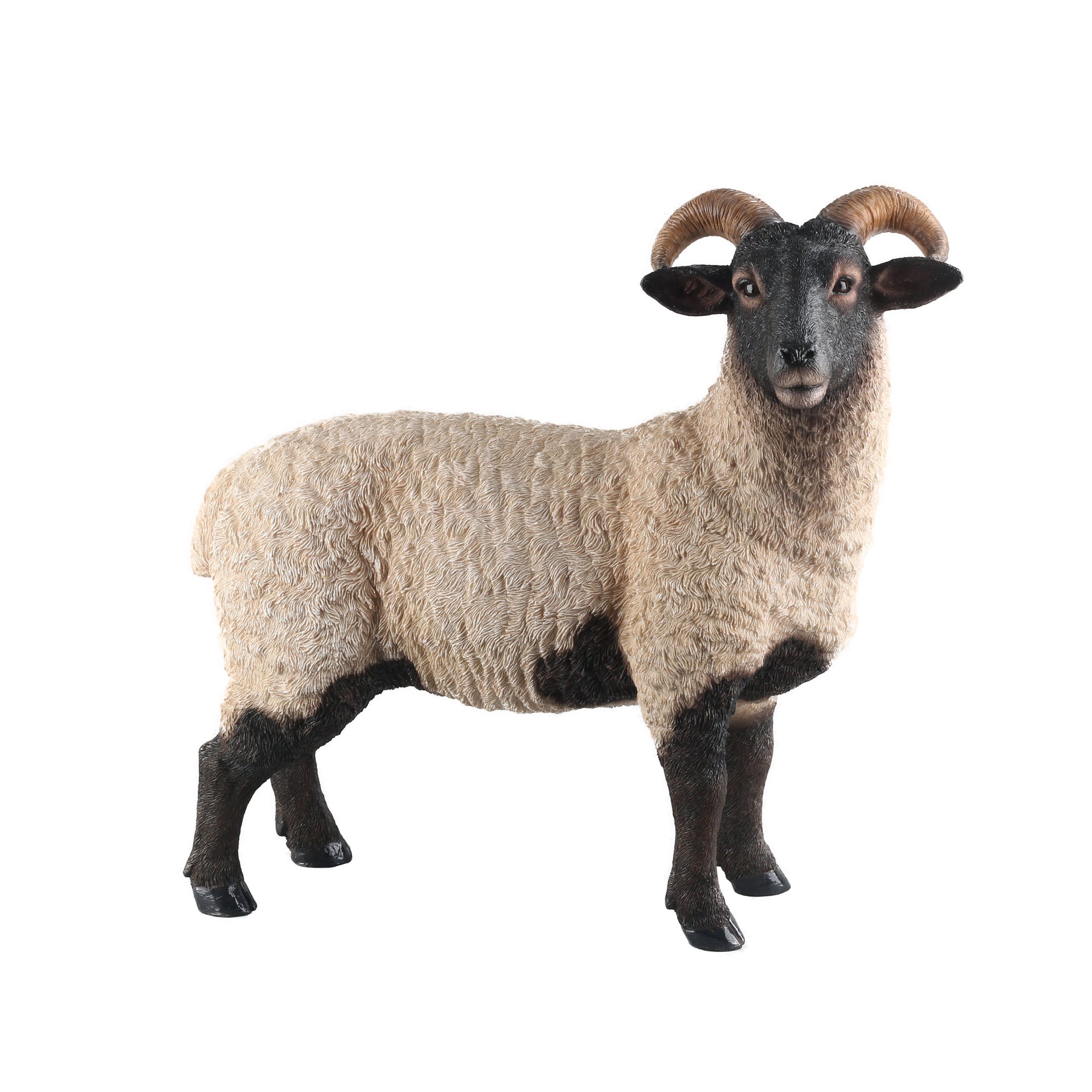 Standing Norfolk Sheep - Hamac Trading