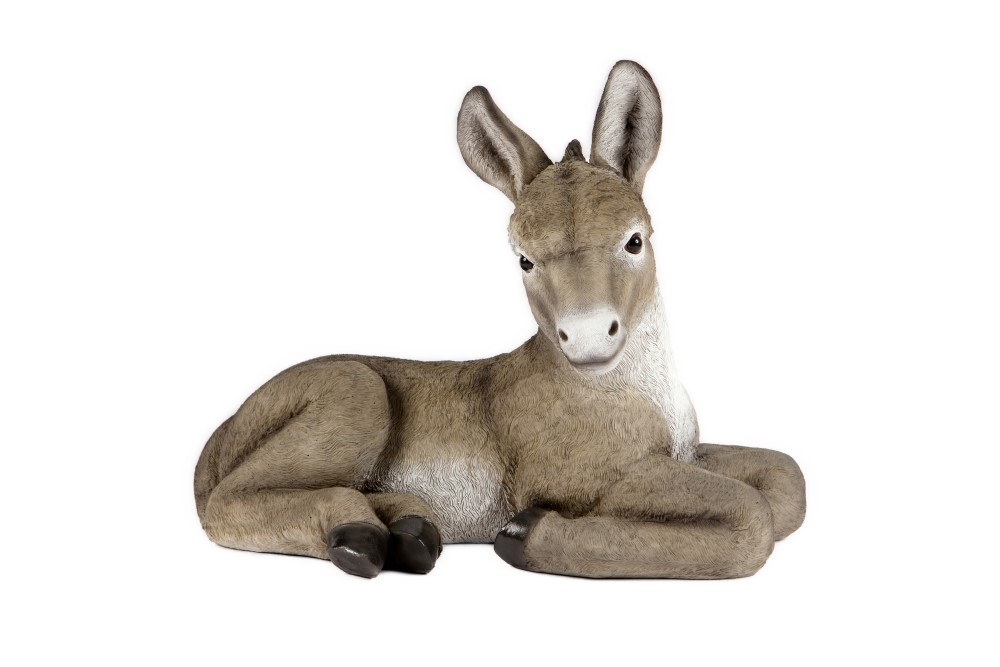 Resting Grey Donkey