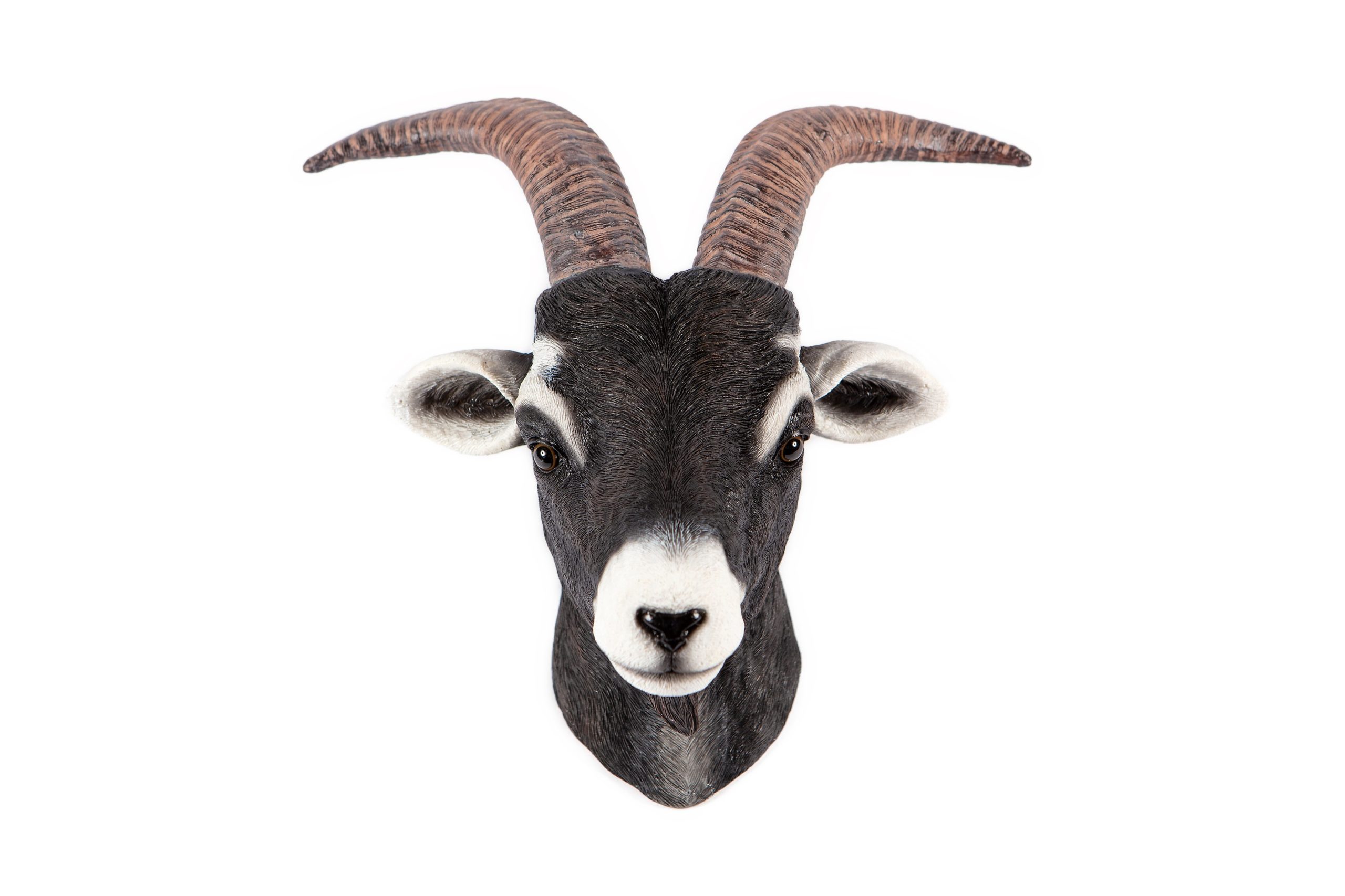 Goat Head Wall Décor