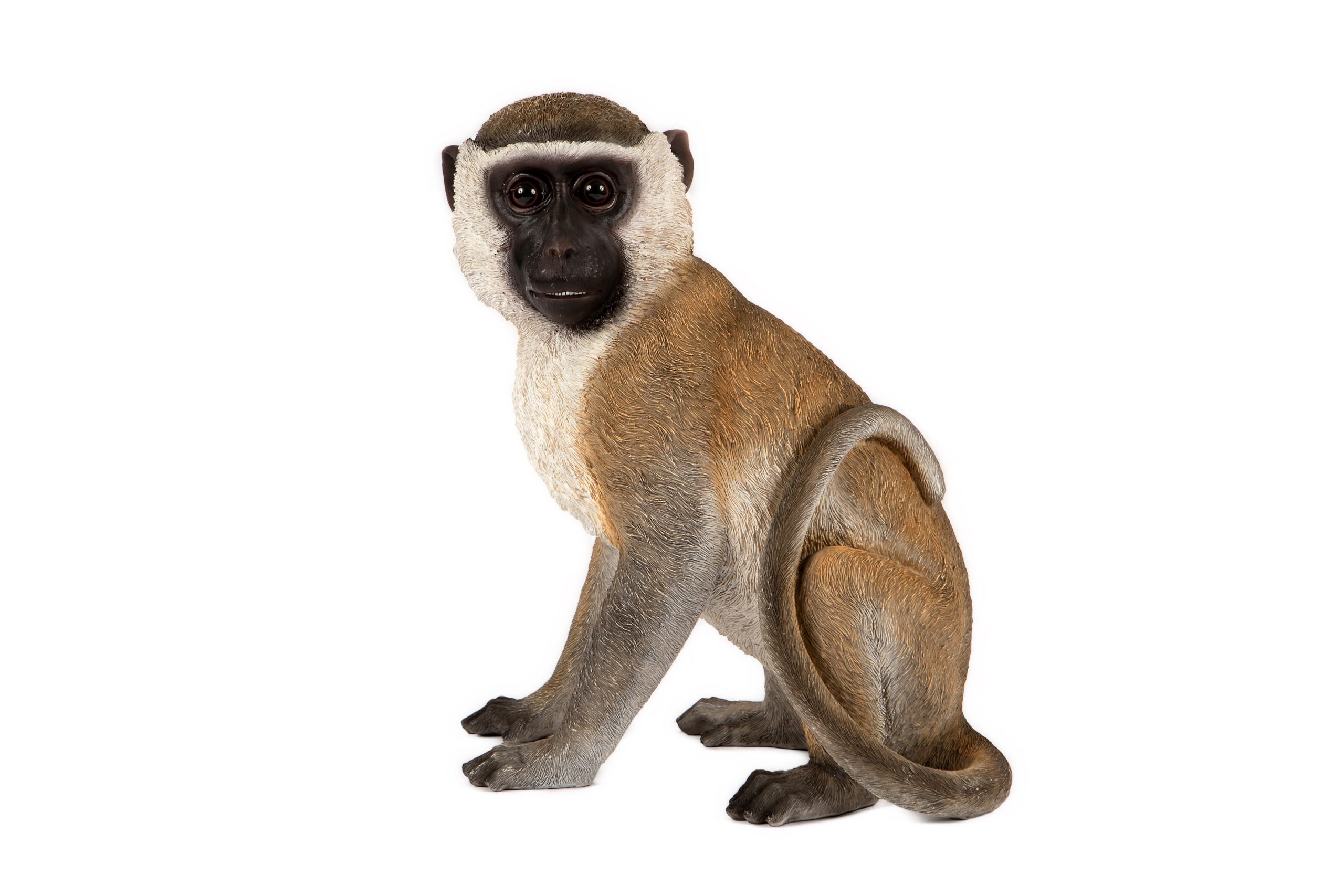 Sitting Monkey