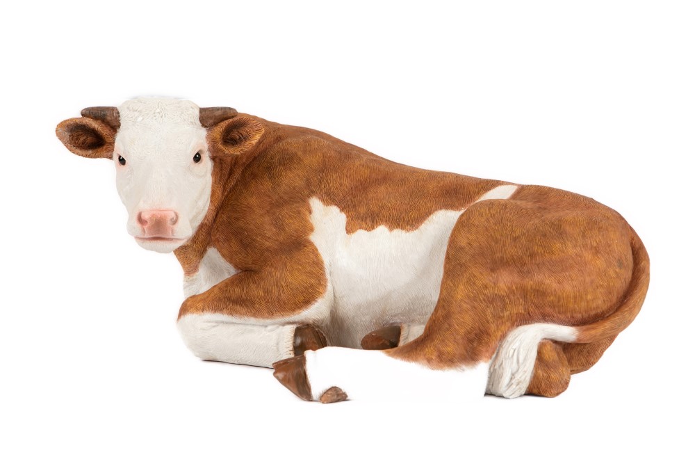 Resting Brown Cow