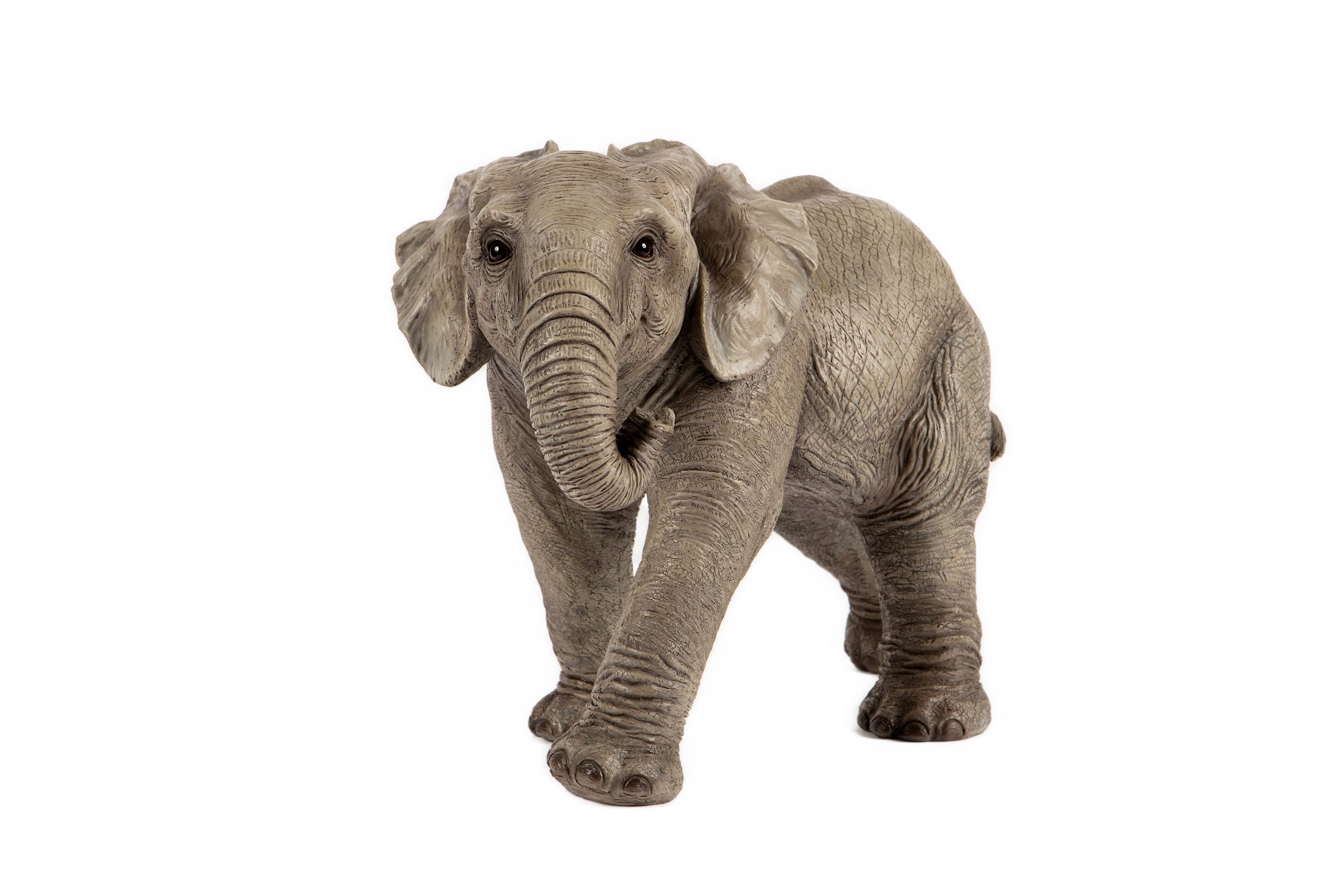 Baby Elephant