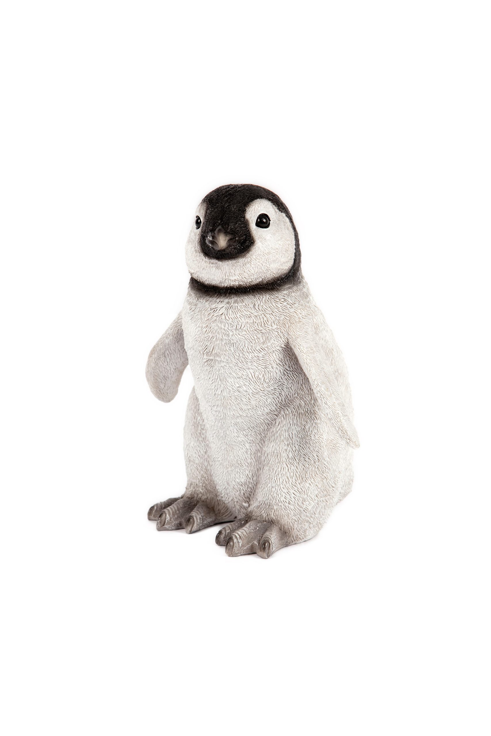 Baby Penguin
