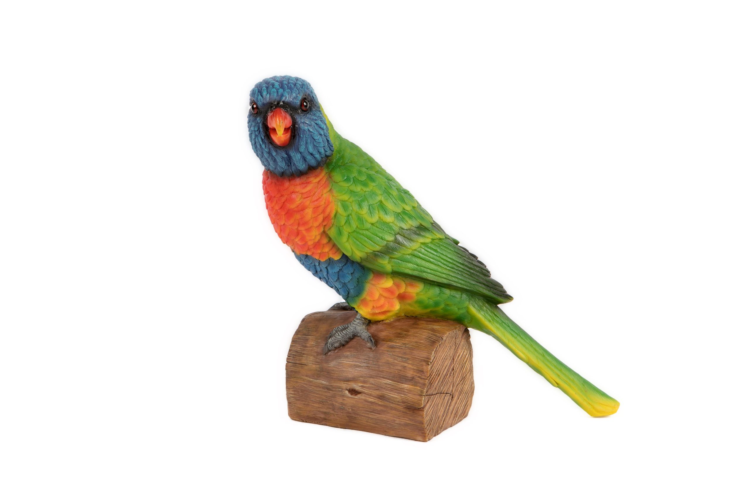 Rainbow Lorikeet