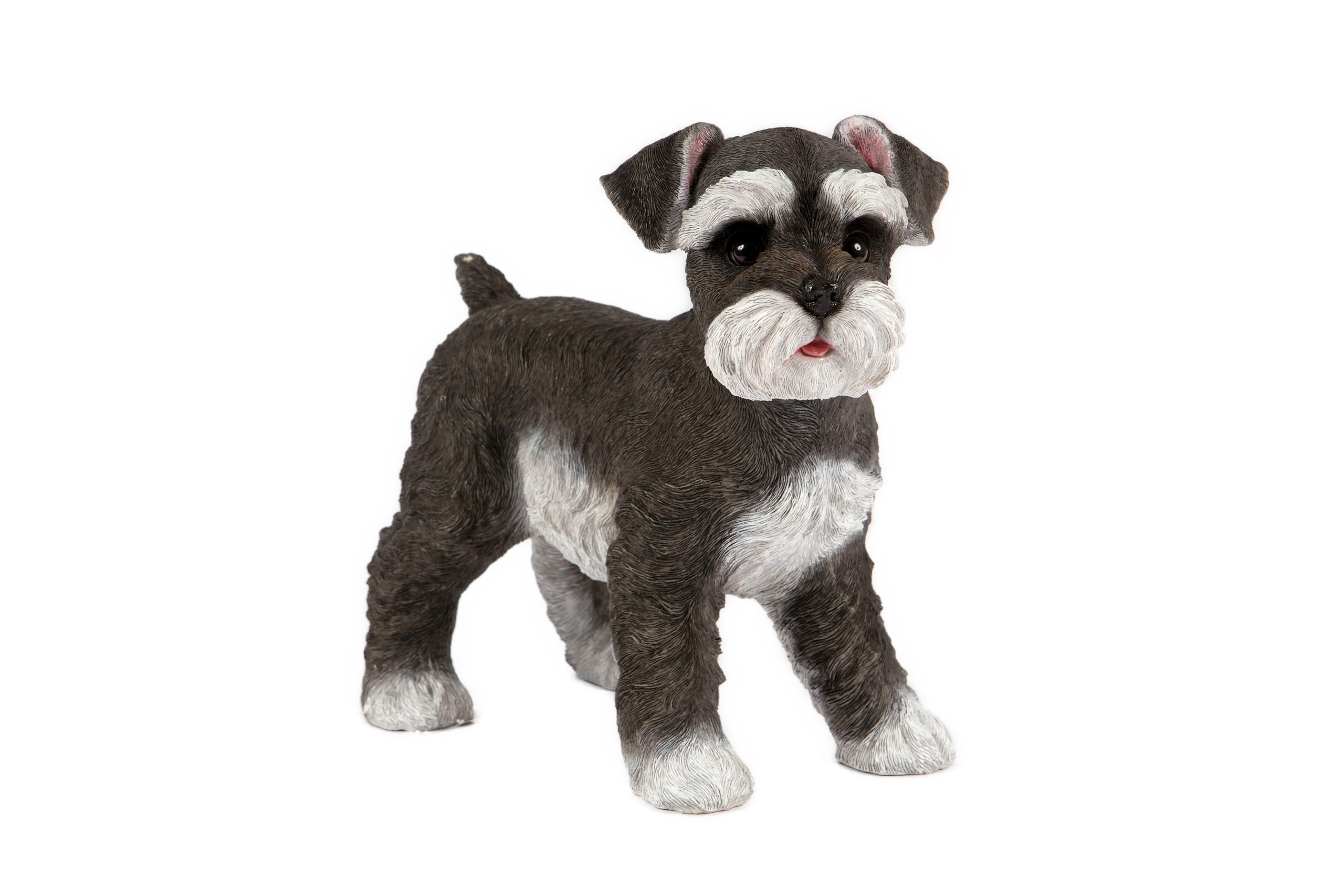Standing Schnauzer