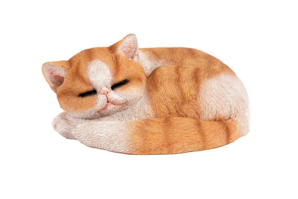 Sleeping Garfield