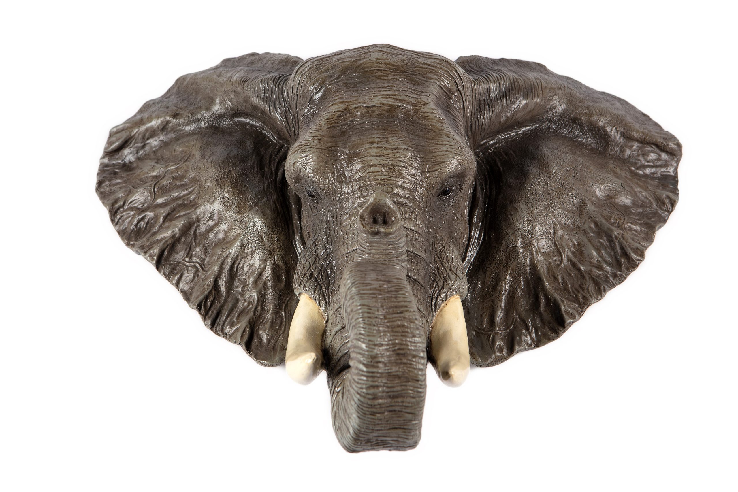 Elephant Head Wall Décor Hamac Trading