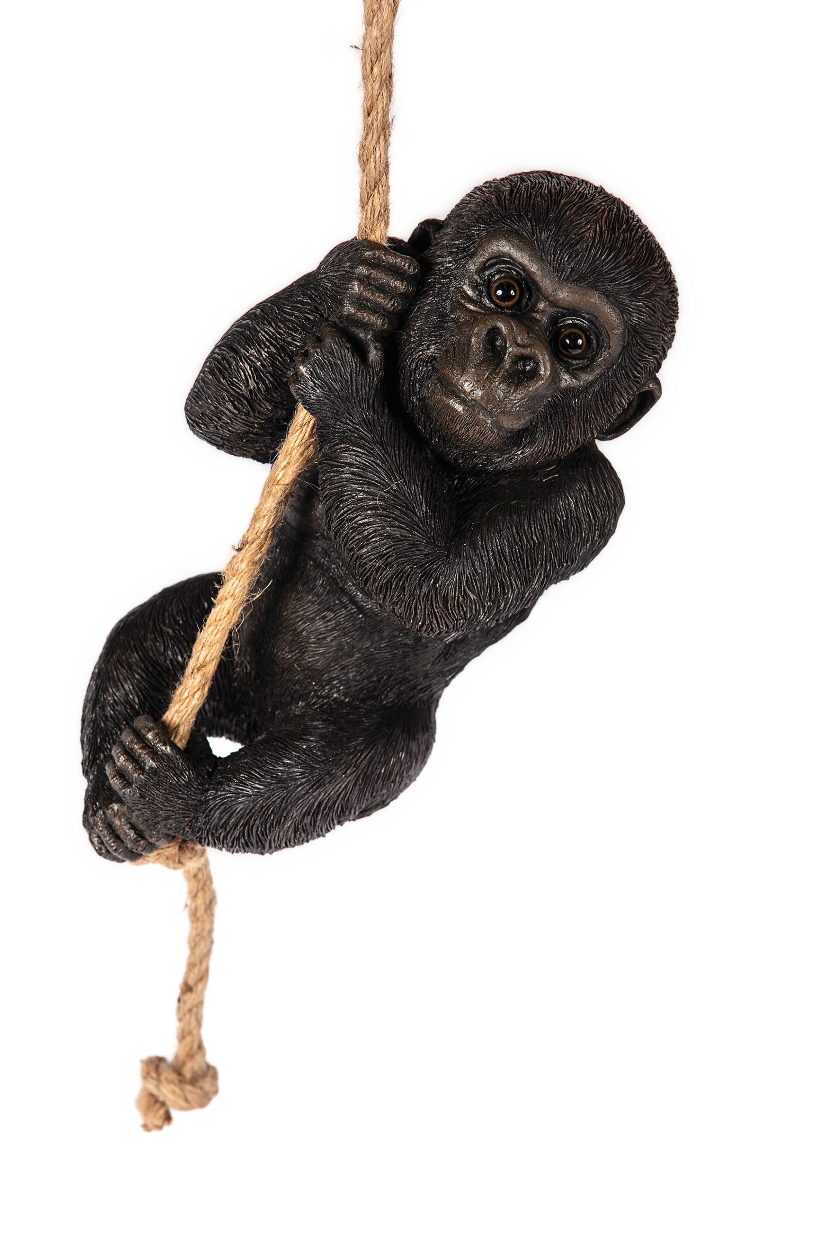 Climbing Baby Gorilla