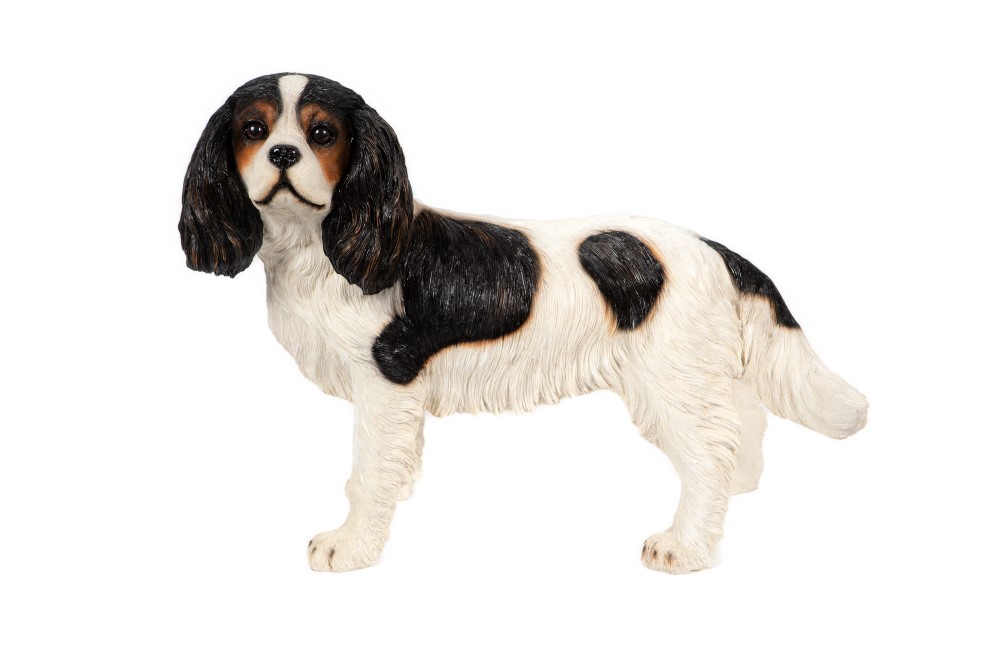 King Charles Standing