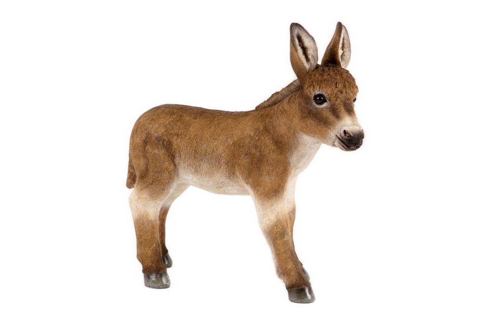 Standing Brown Donkey