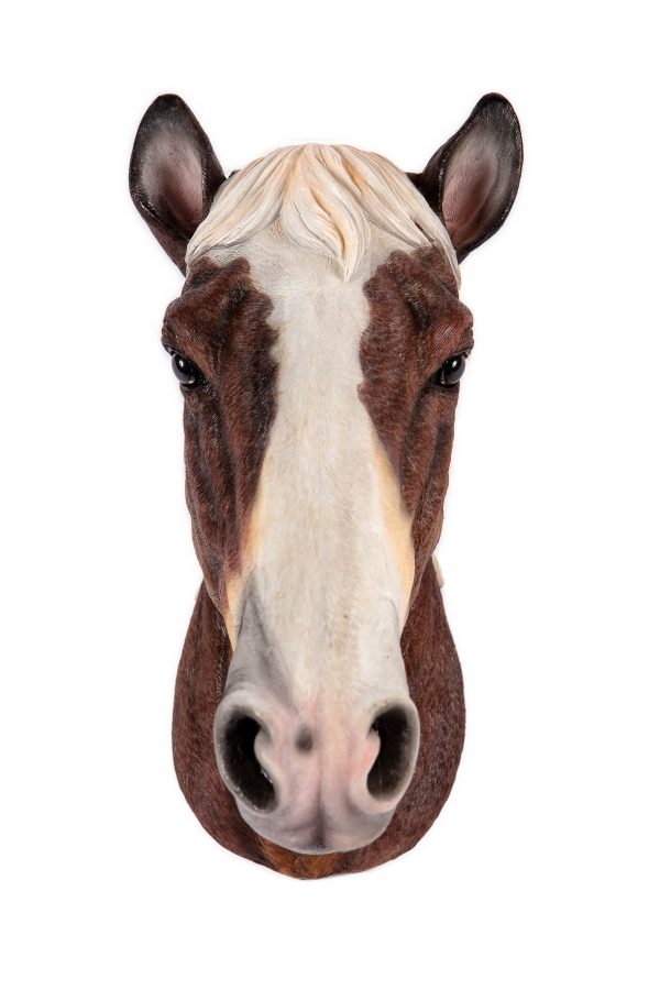 Horse Head Wall Dcor - Hamac Trading