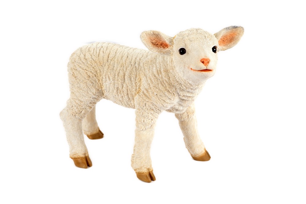 Standing Lamb
