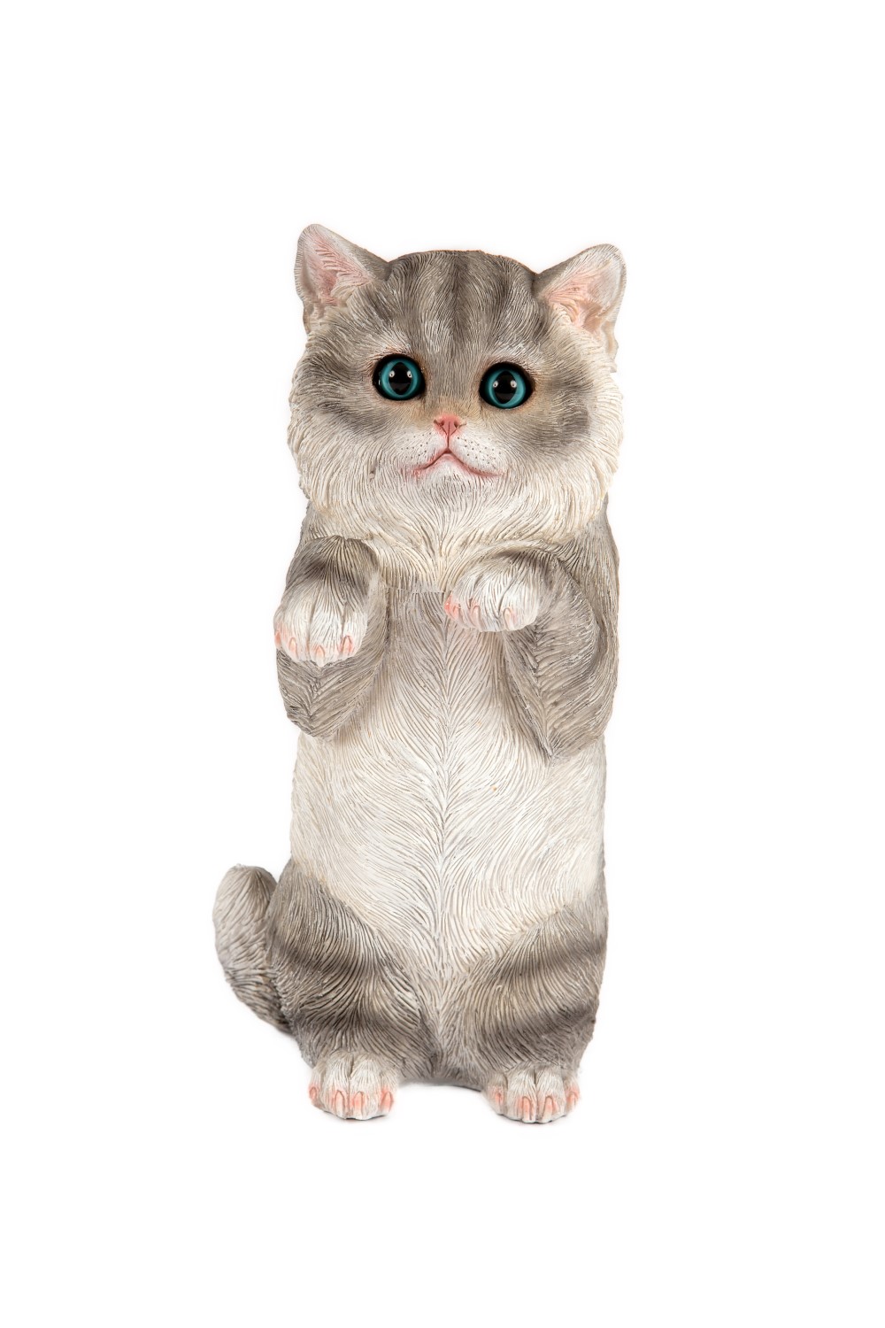 Standing Grey Kitten