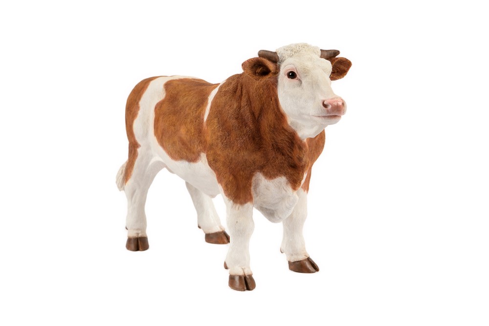 Standing Brown Bull