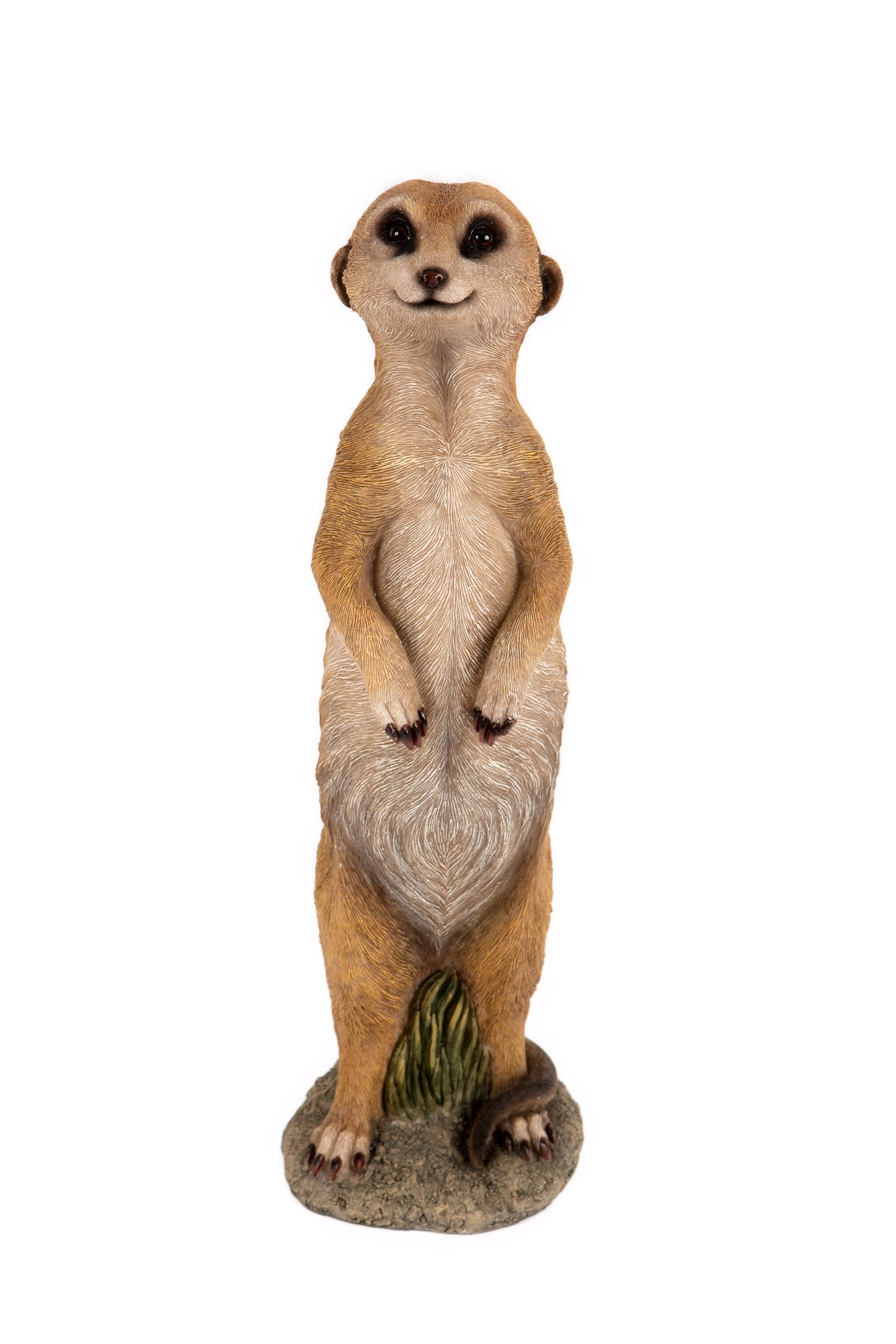 Meerkat