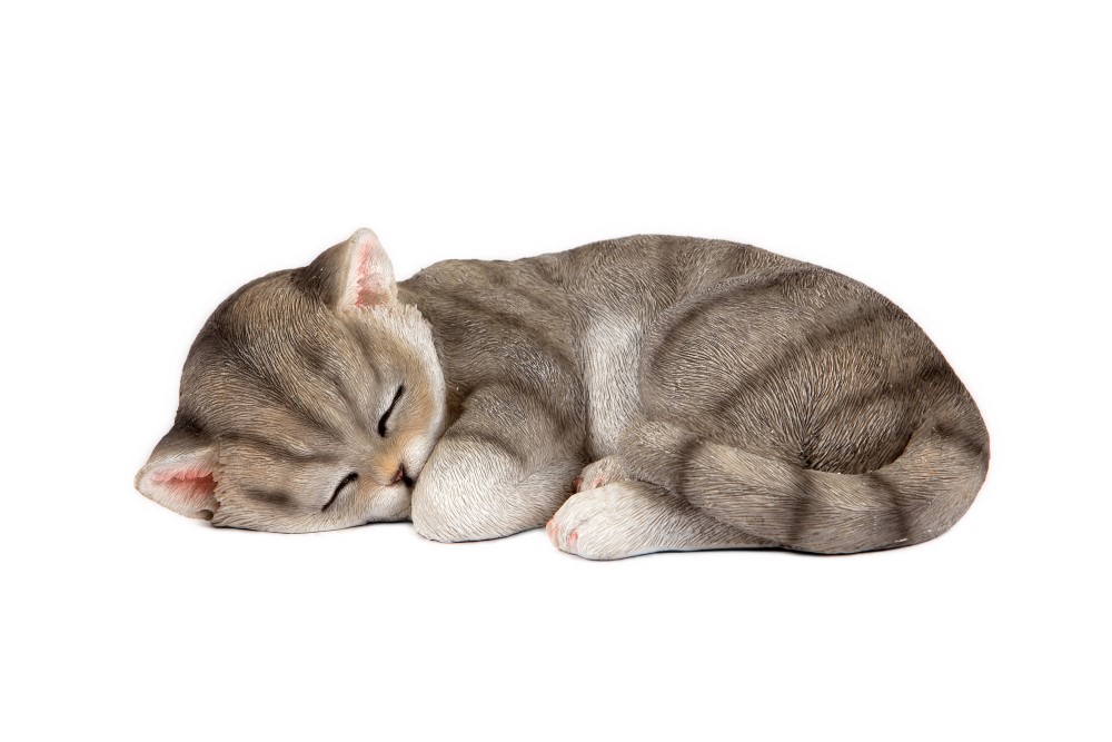 Sleeping Grey Cat