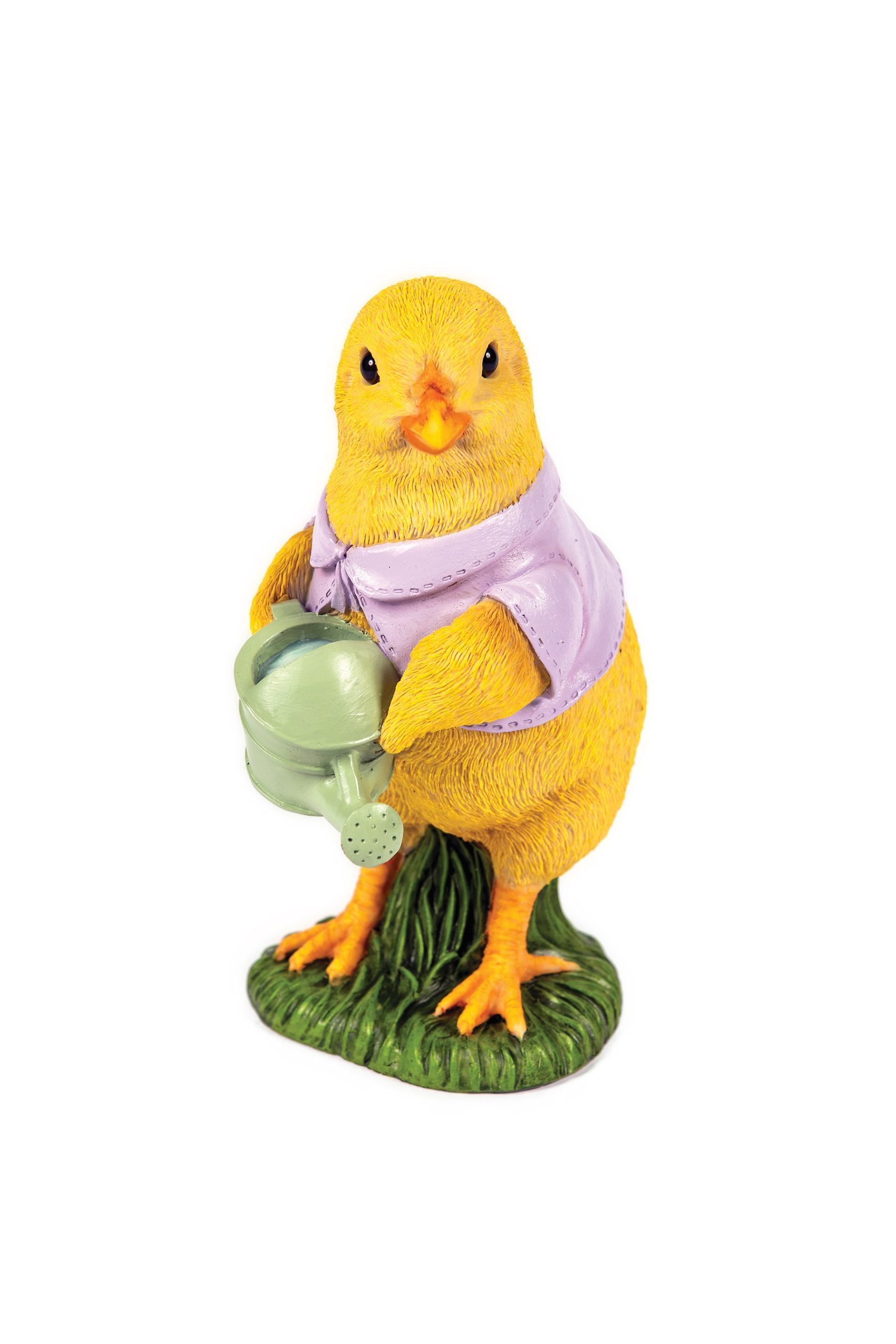 Watering Chick