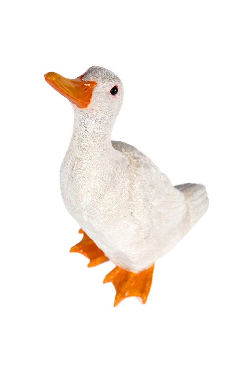 Sitting Duck