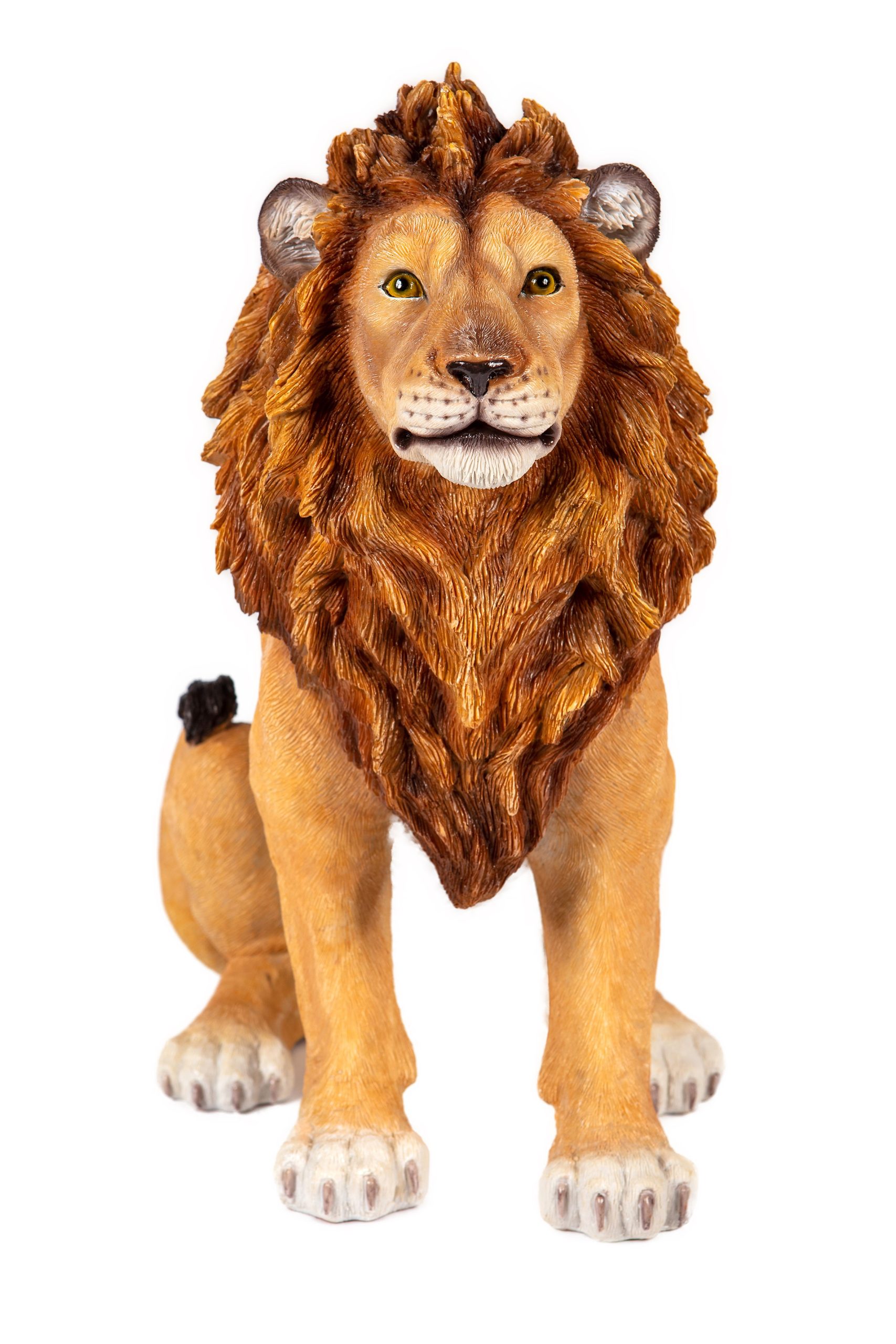 Sitting Lion