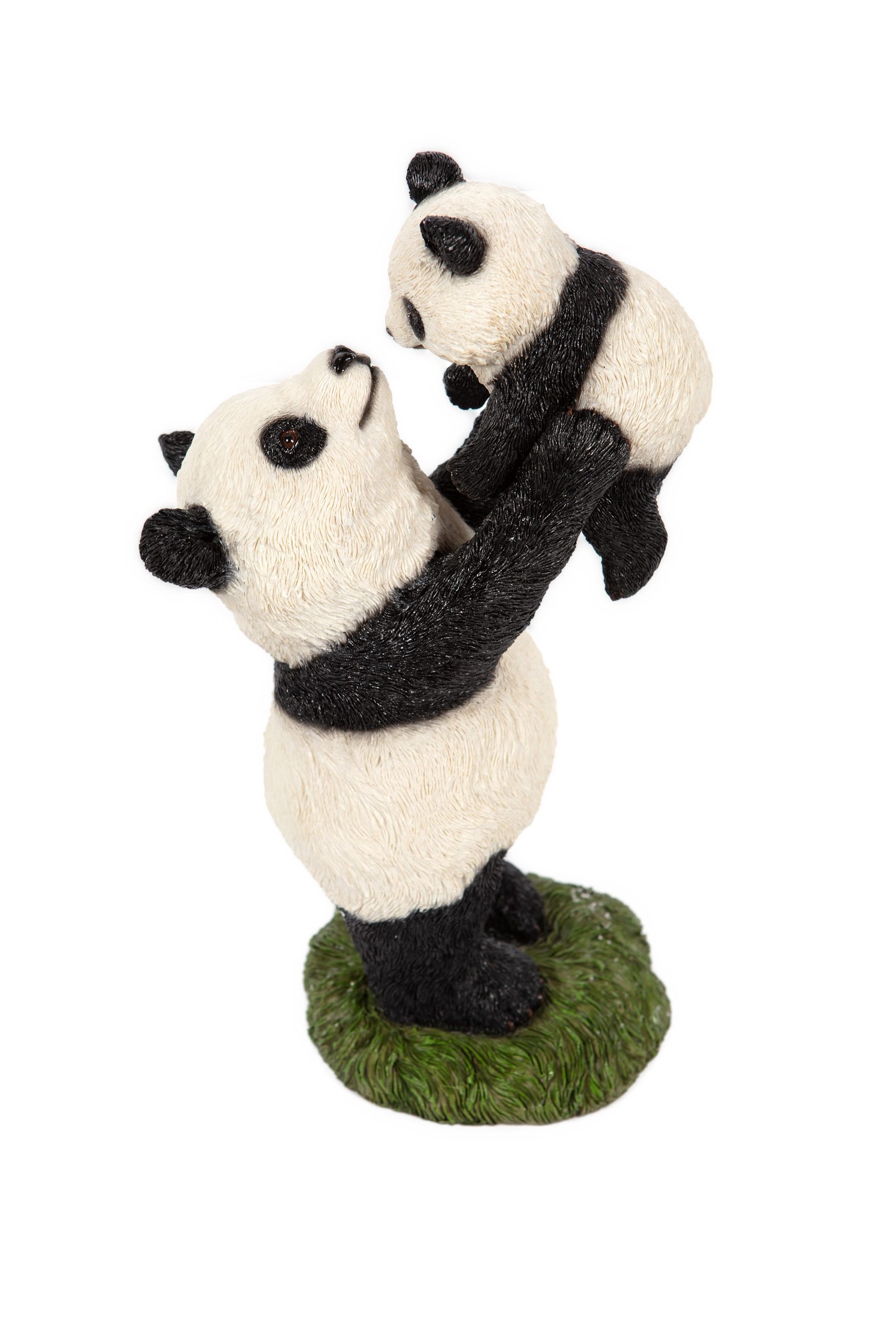 Panda Holding Baby