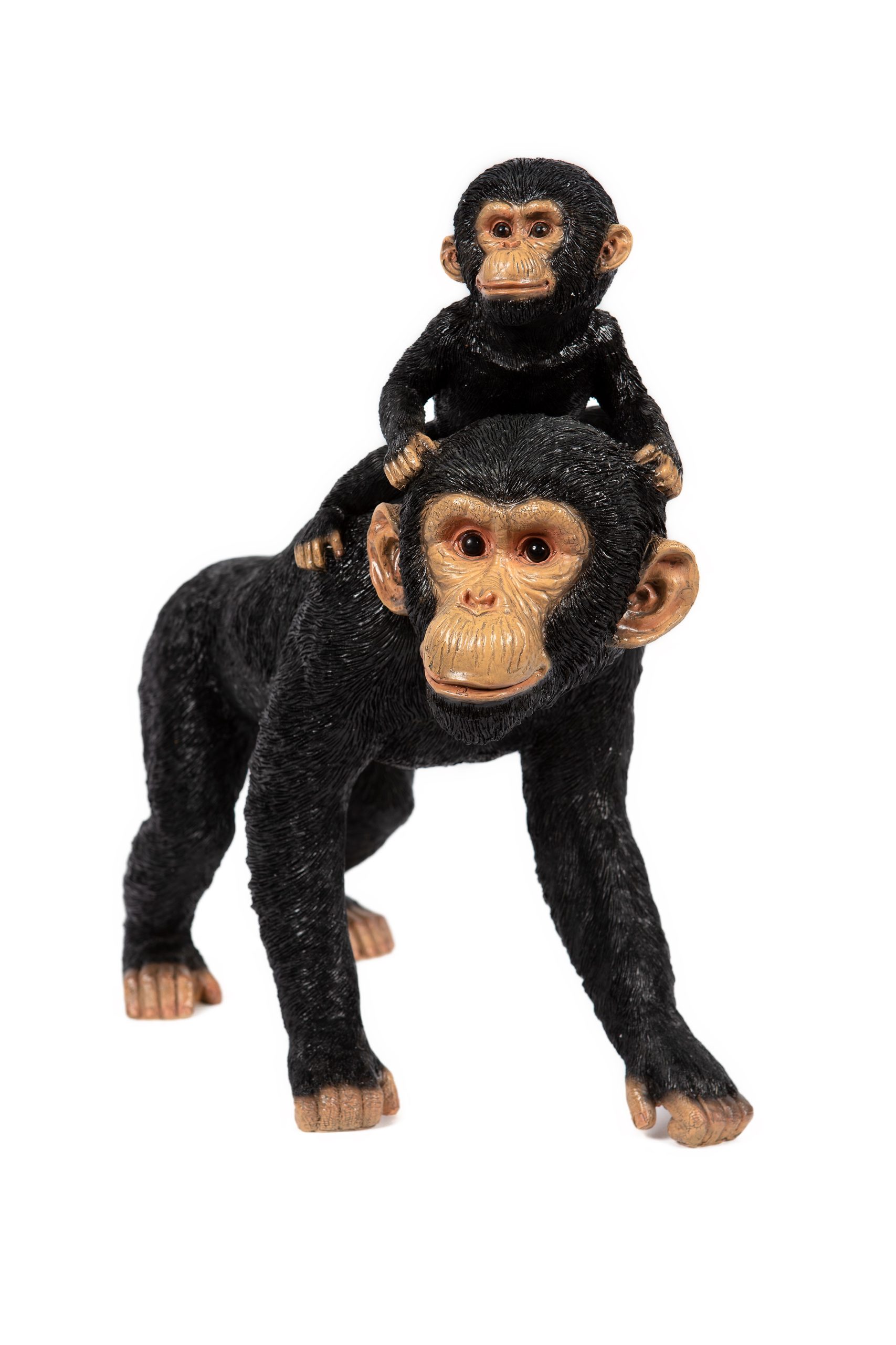 Chimpanzee & Baby