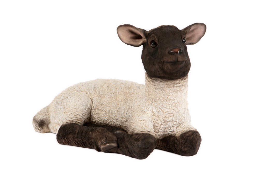 Laying Lamb