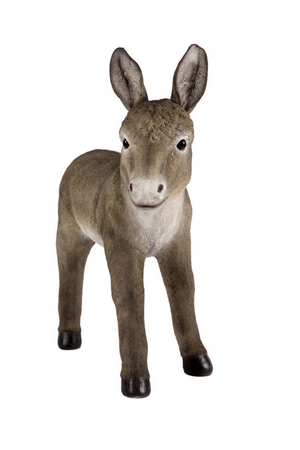Standing Grey Donkey