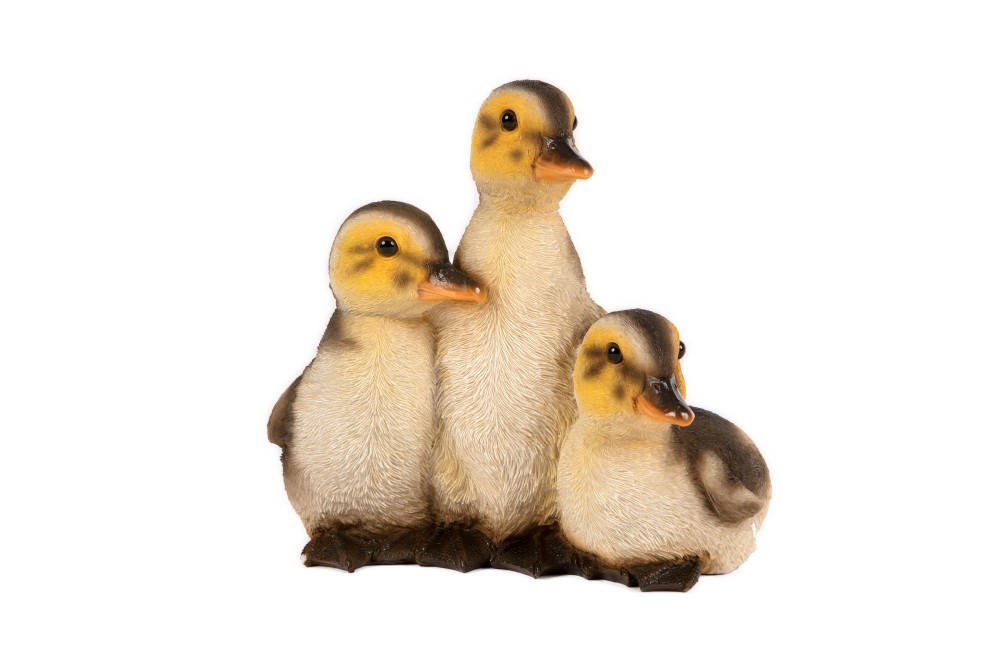 Three Resting Ducklings