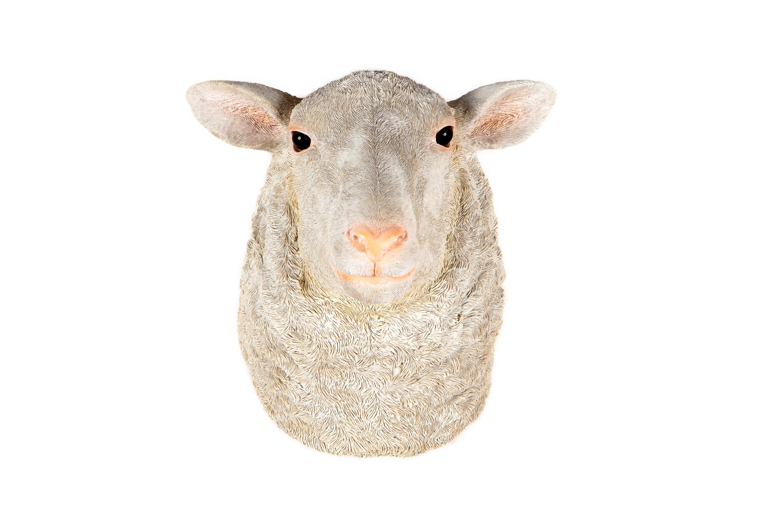 Sheep Head Wall Décor Hamac Trading