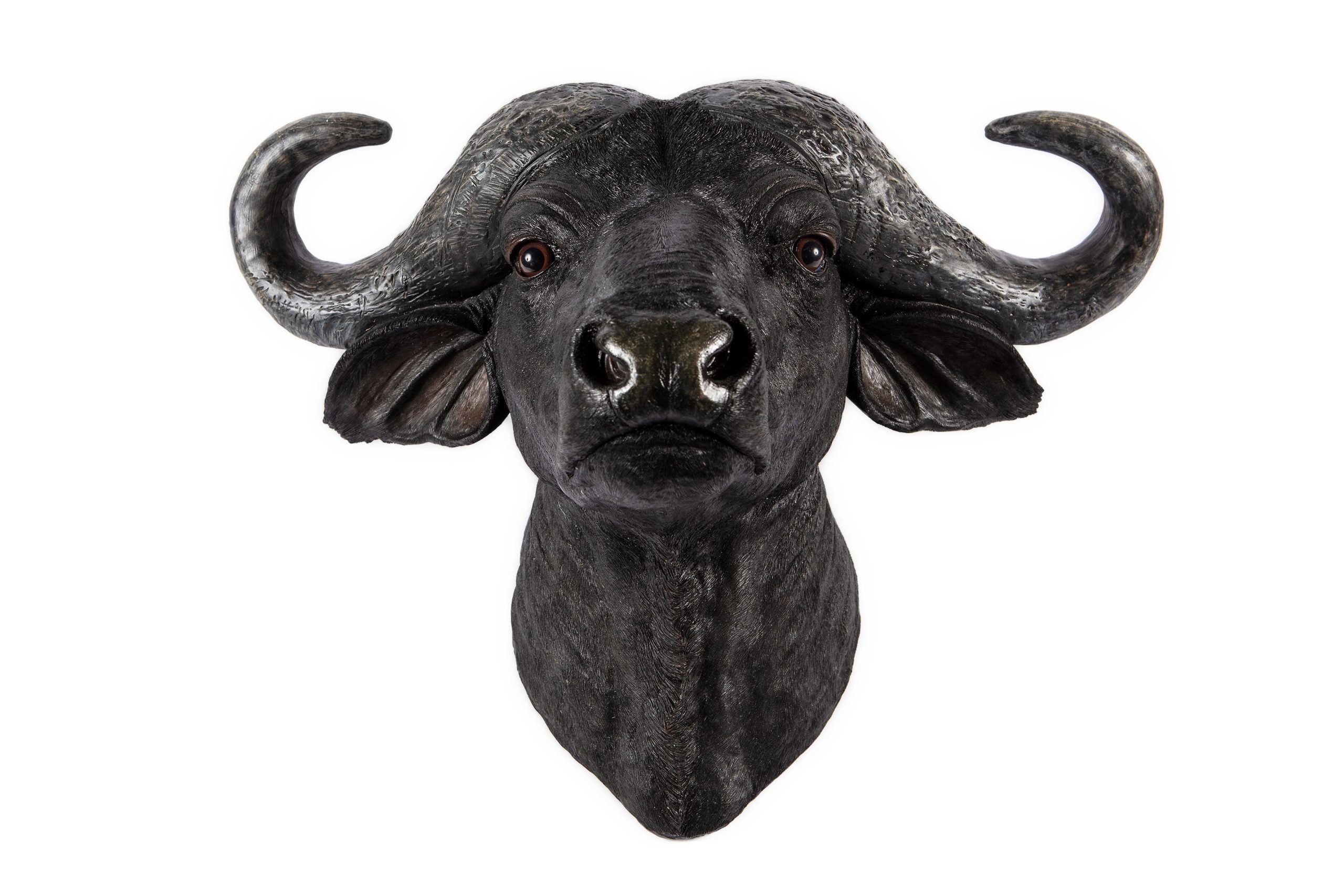 Buffalo Head Wall Décor