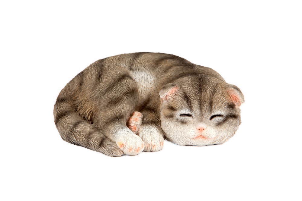 Sleeping Grey Kitten