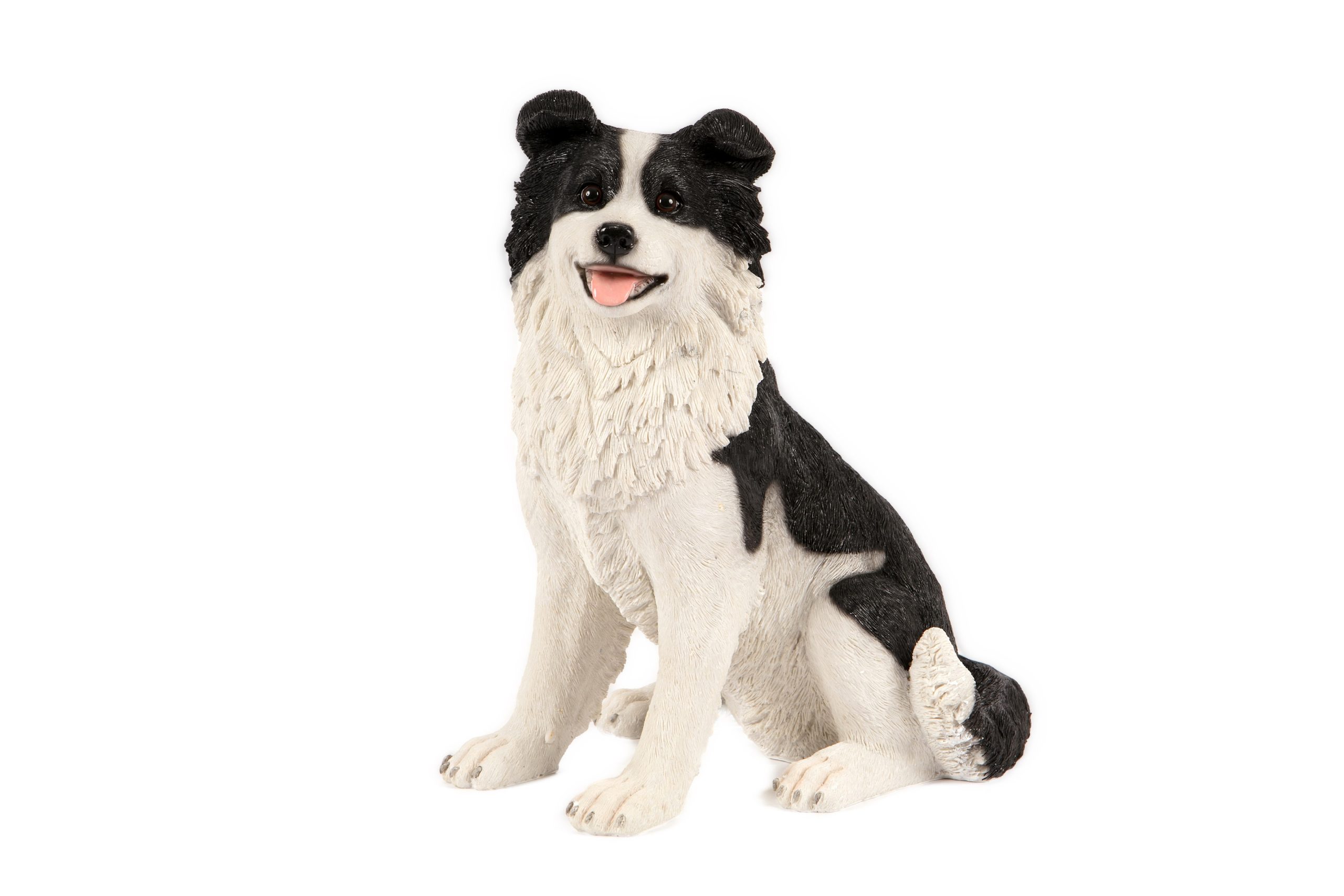 Sitting Border Collie