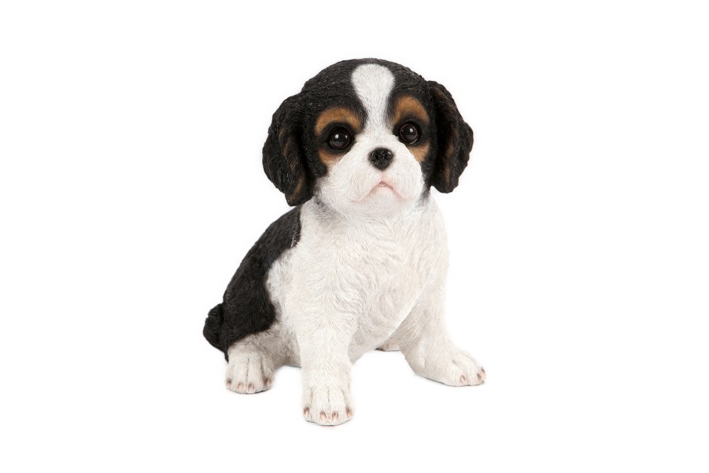 Sitting King Charles