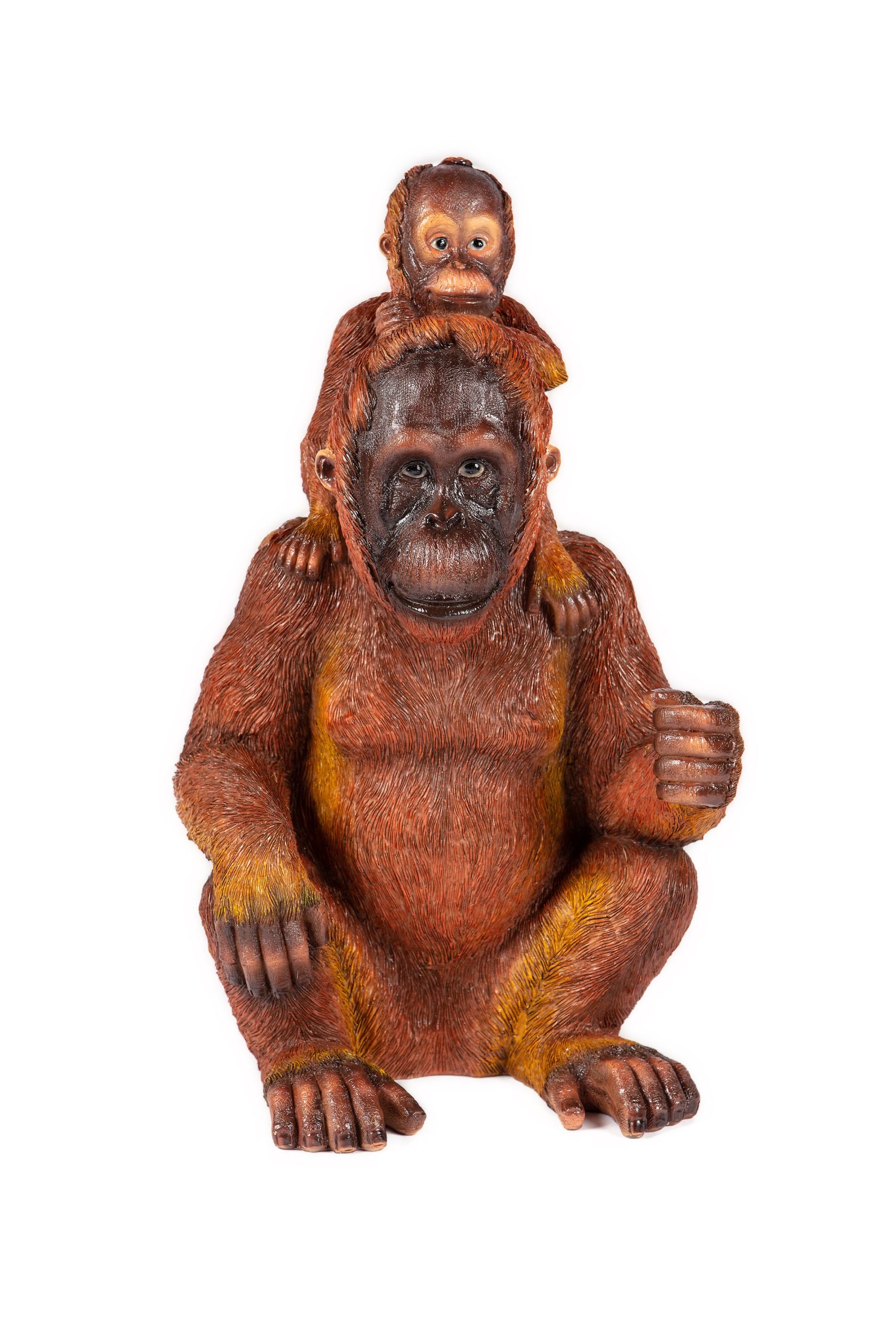 Orangutan & Baby