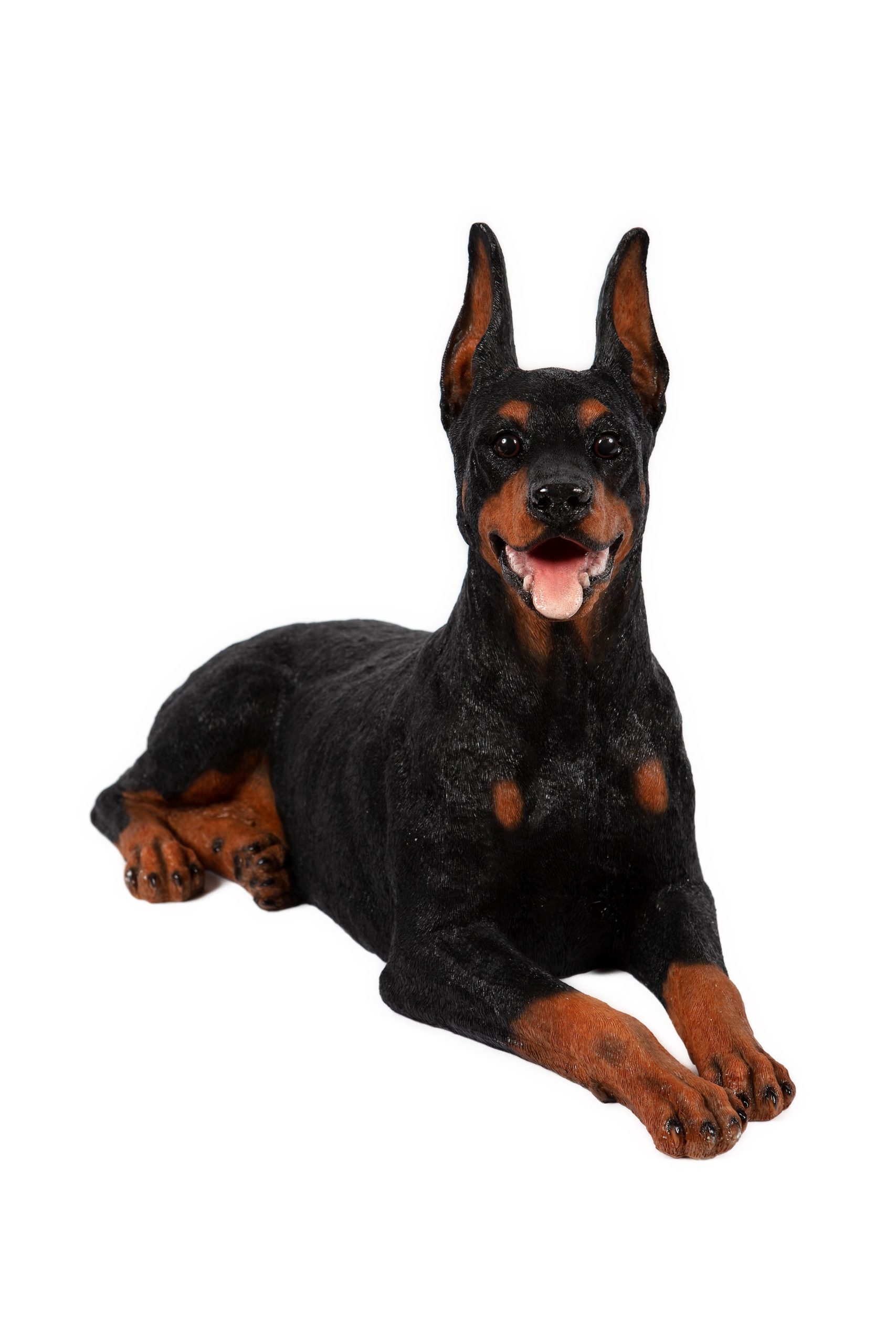 Dobermann Laying