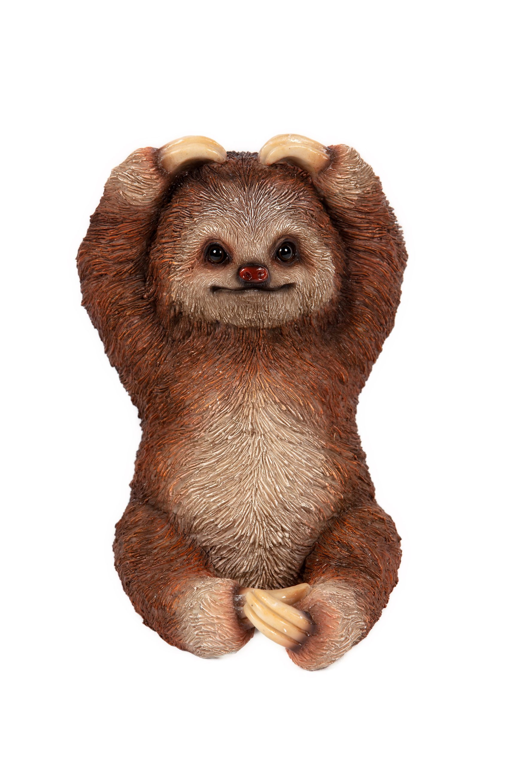 Sloth Hands on Head