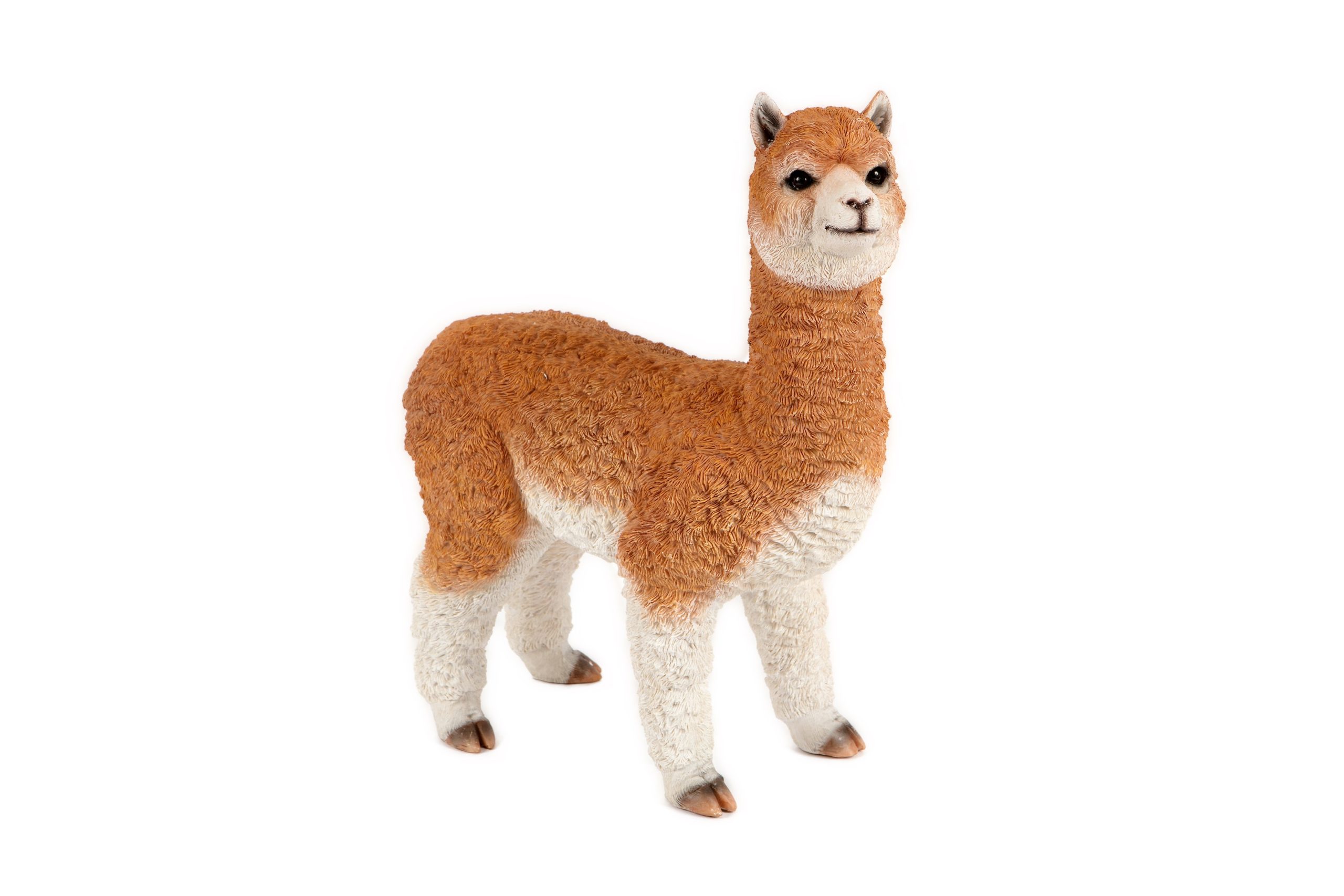 Alpaca