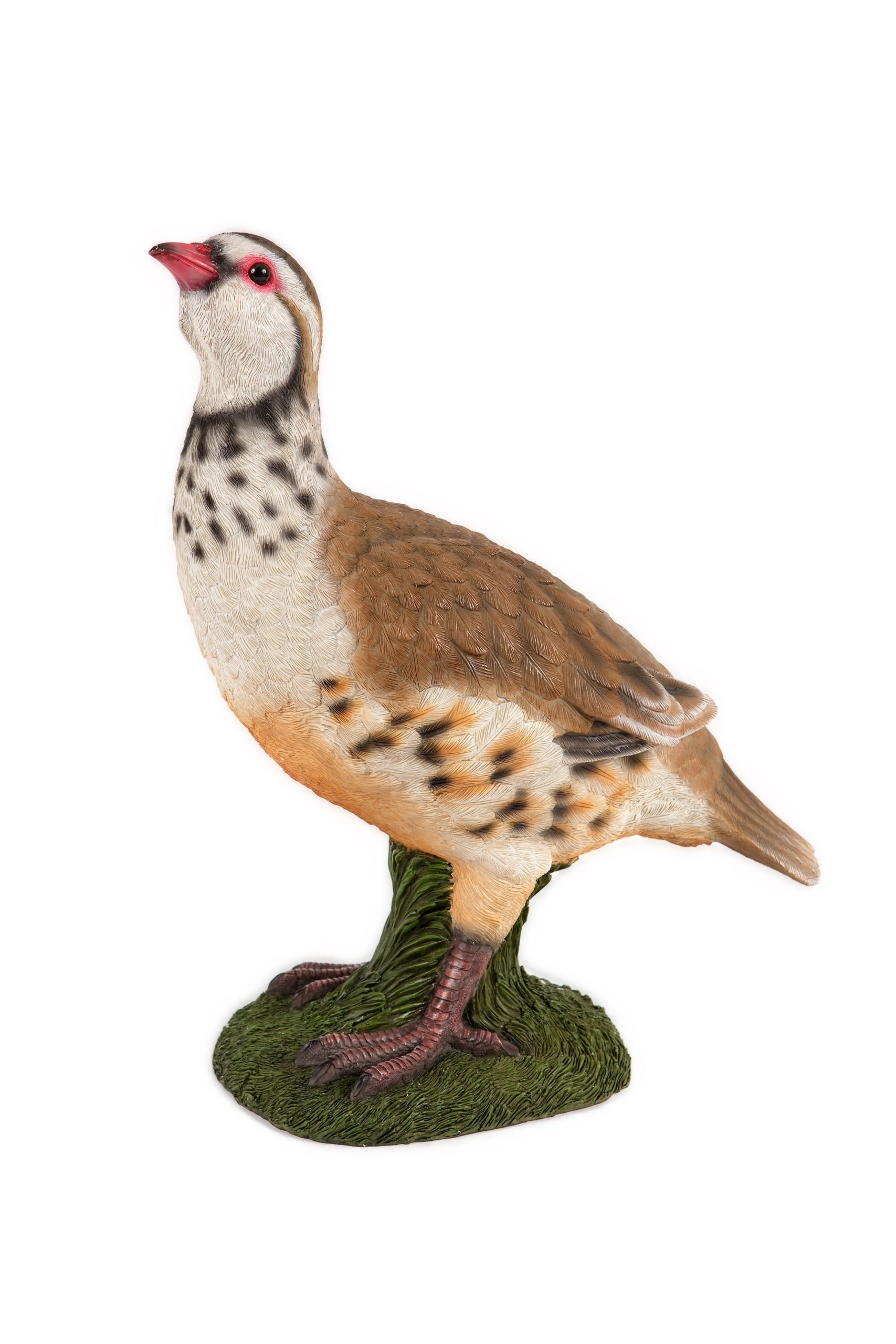 Partridge