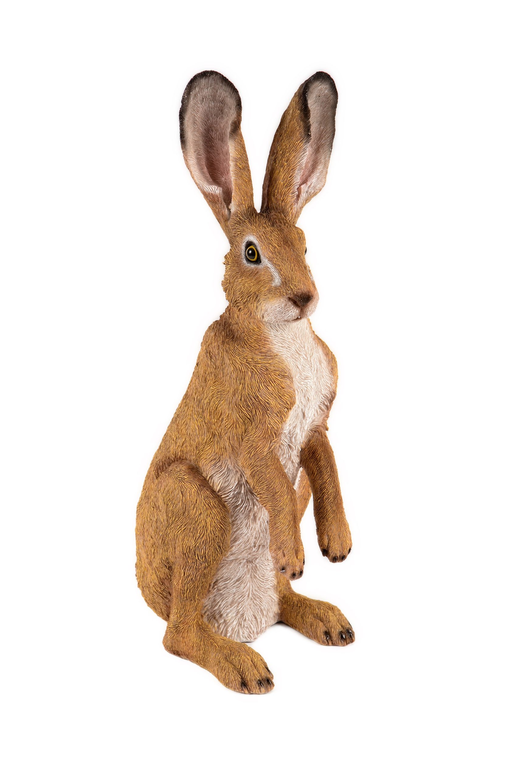 Standing Hare