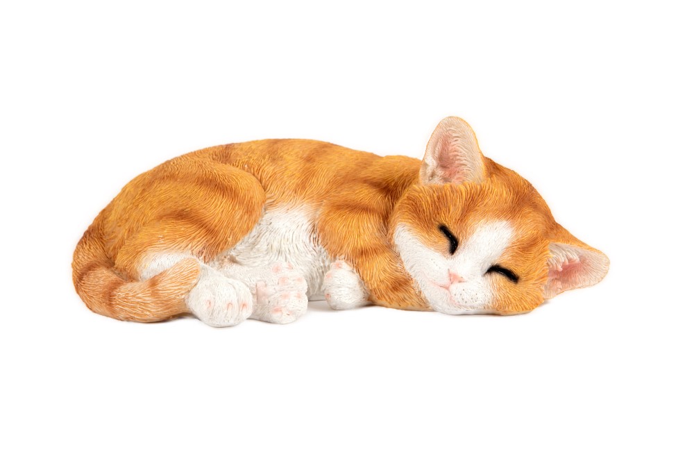 Sleeping Ginger Kitten