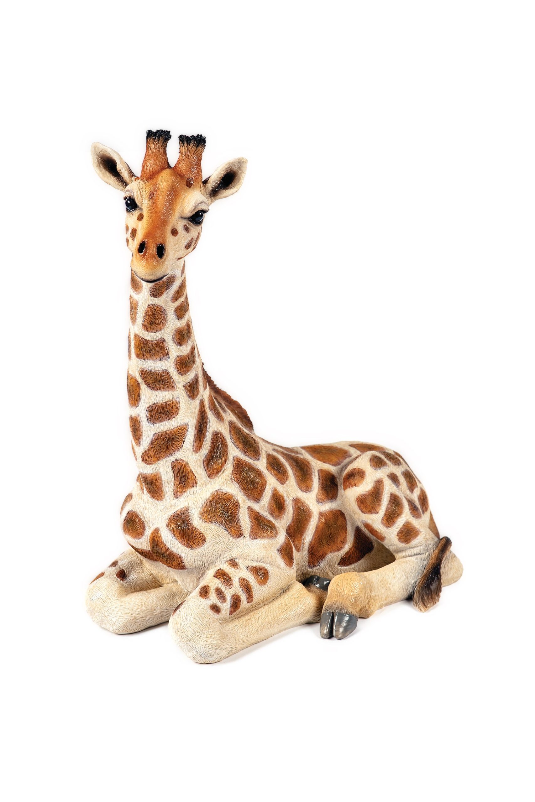 Sitting Giraffe
