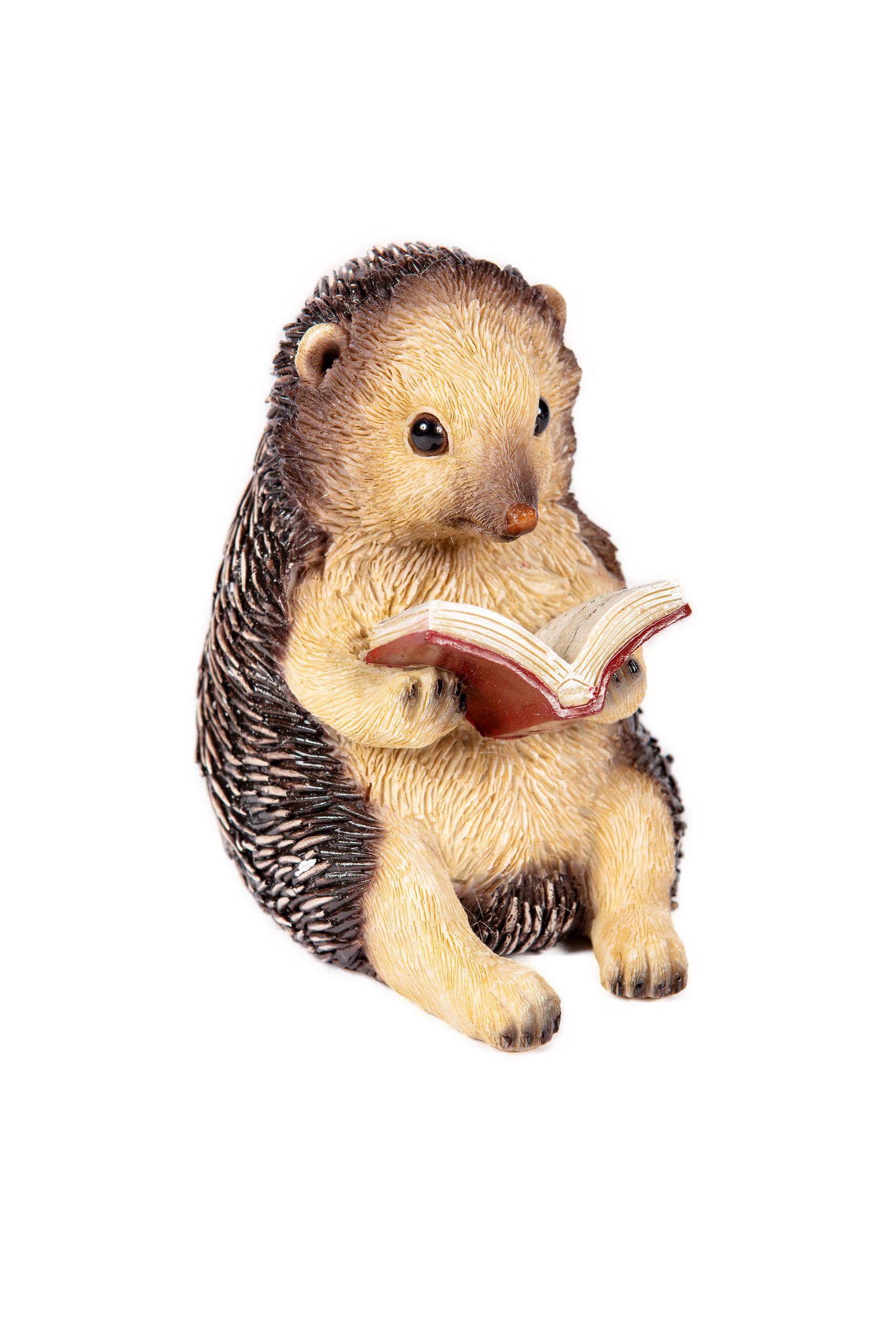 Reading Hedgehog