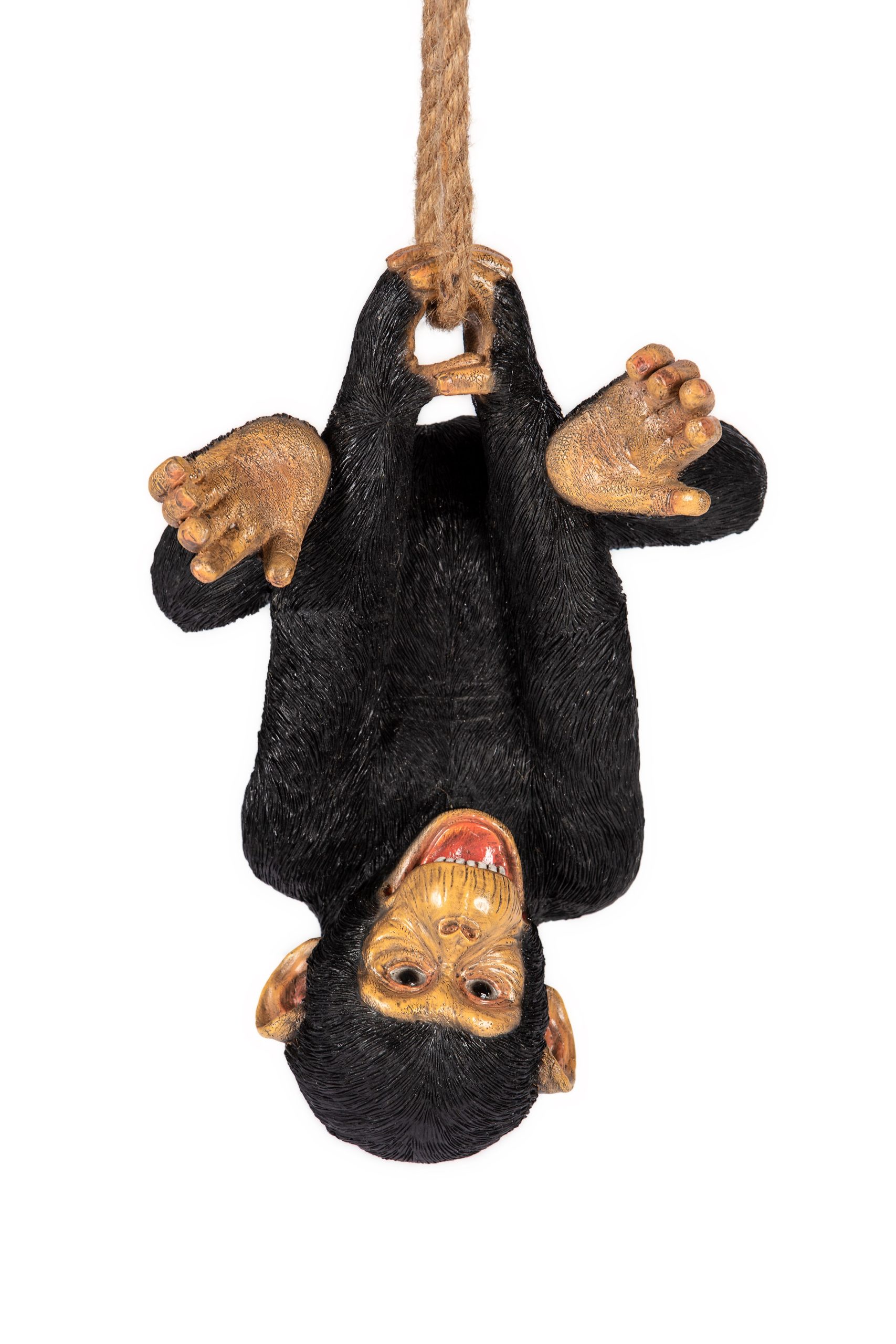 Upside Down Chimp