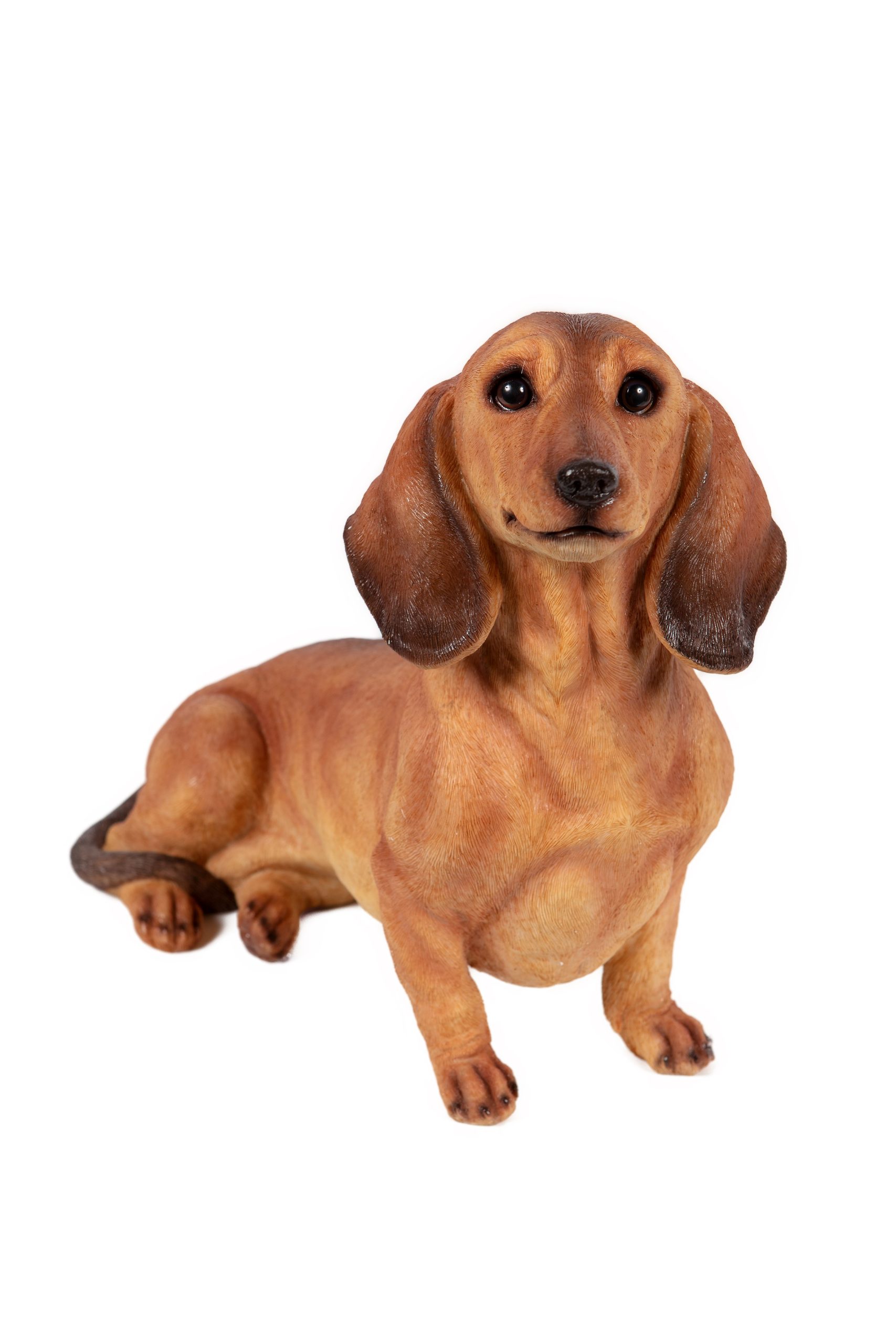 Standing Brown Dachshund