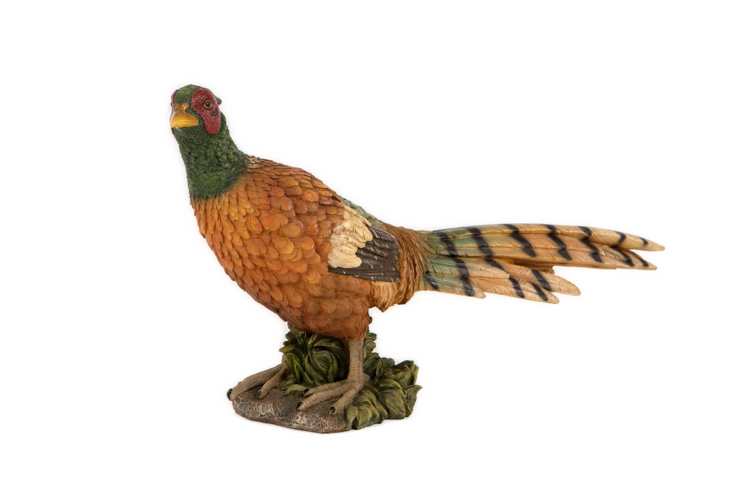Pheasant