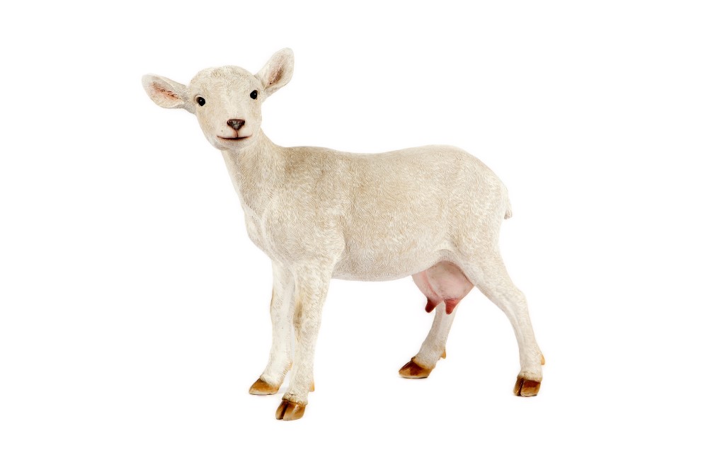 Standing White Goat