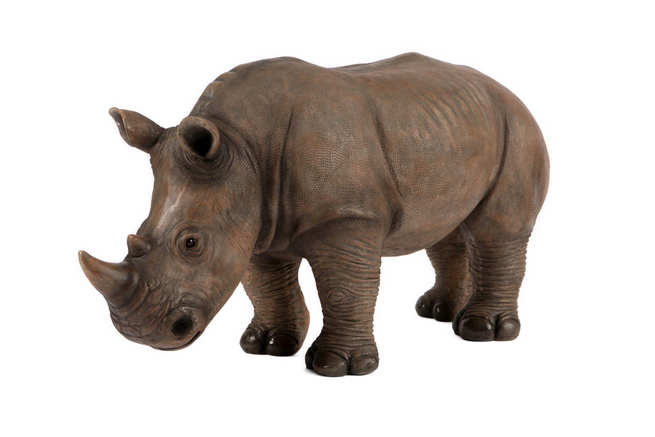 Rhino