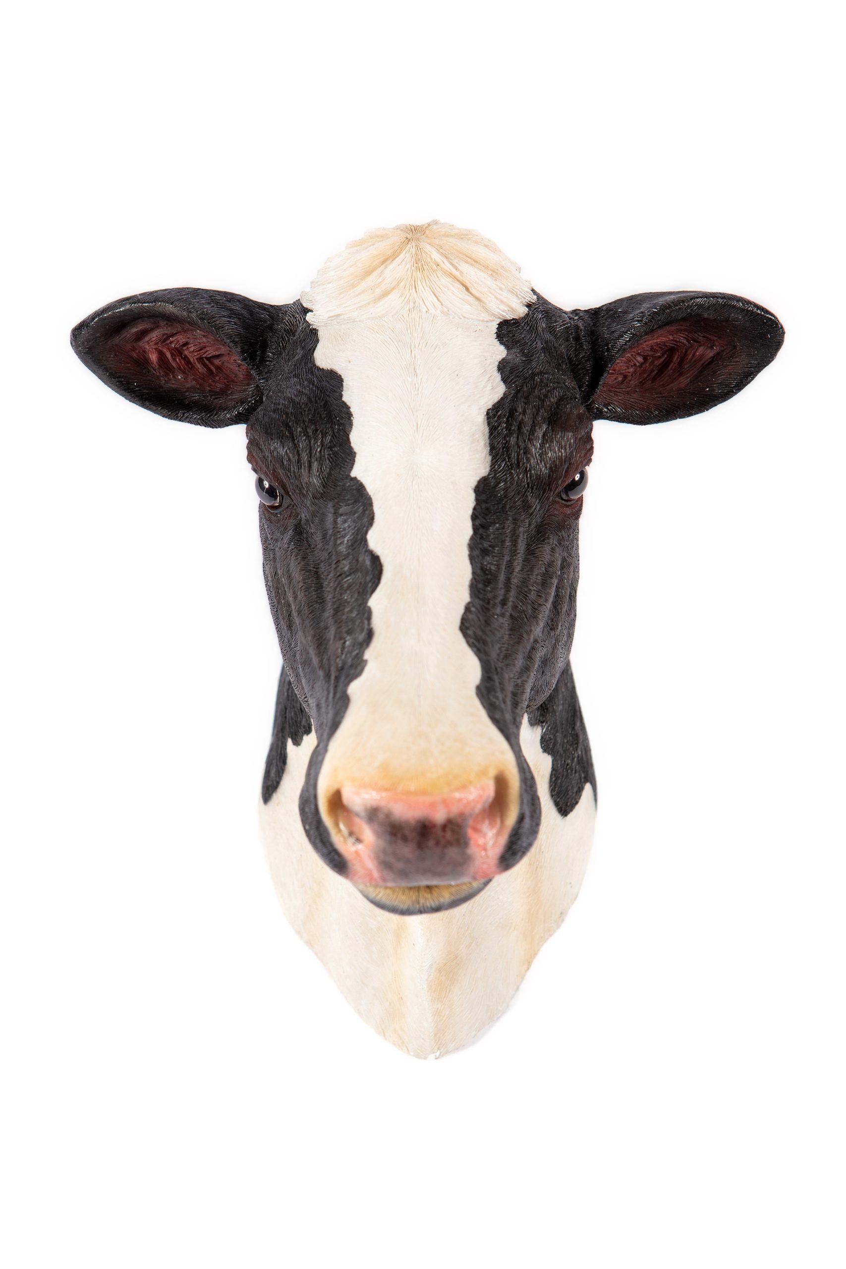 Cow Head Wall Décor