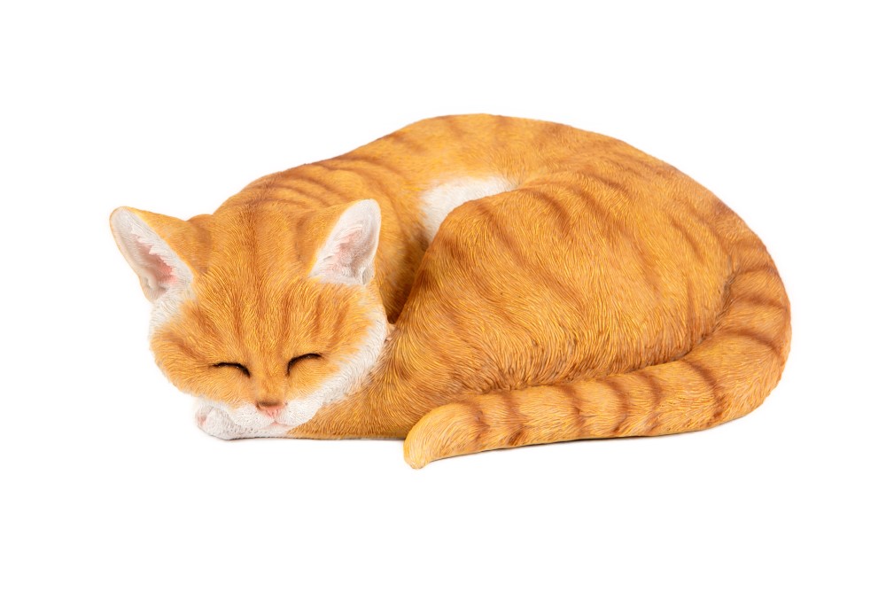 Sleeping Ginger Cat